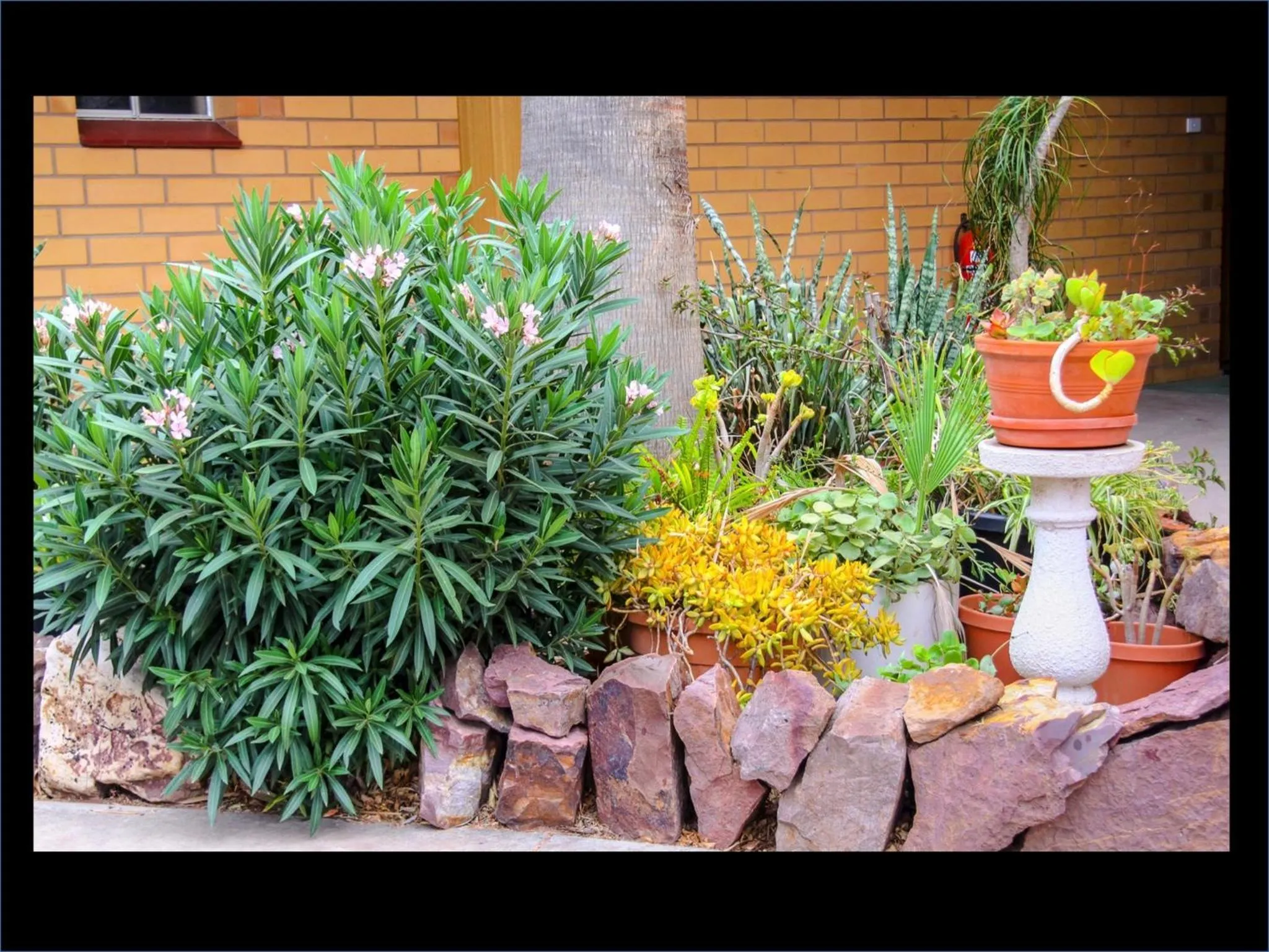Decorative detail in Pampas Motel Port Augusta