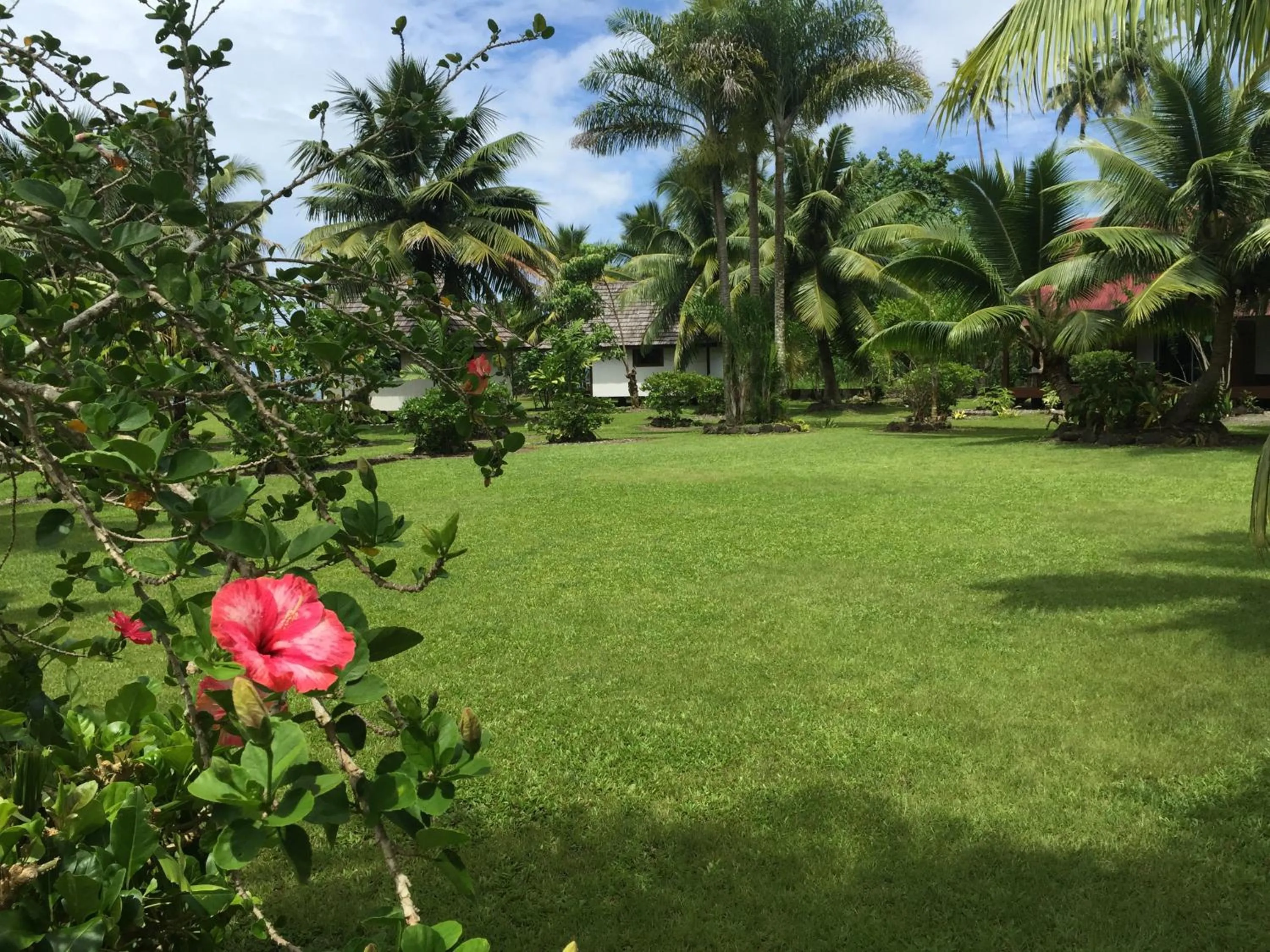 Garden in Punatea Village