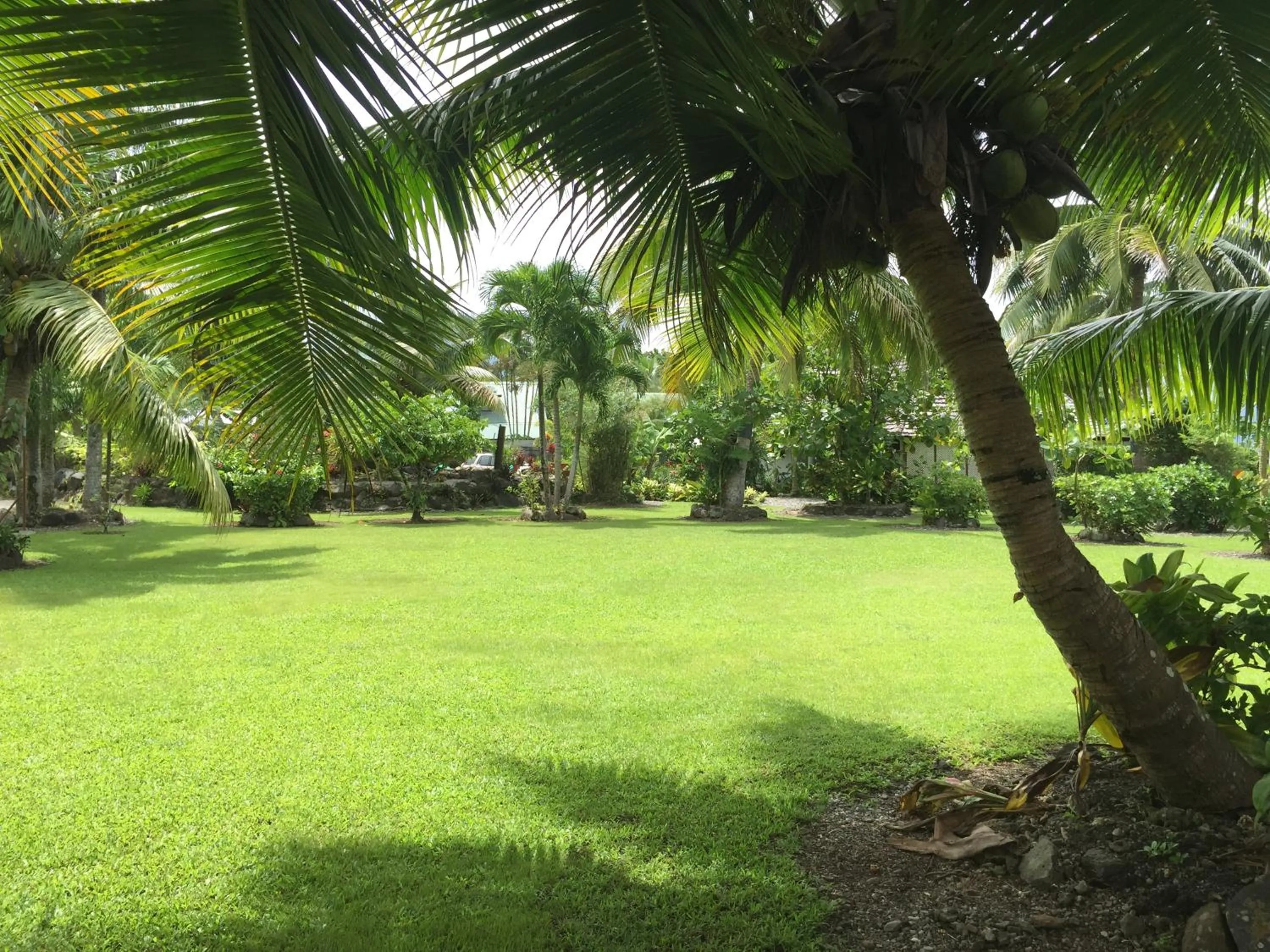 Garden in Punatea Village