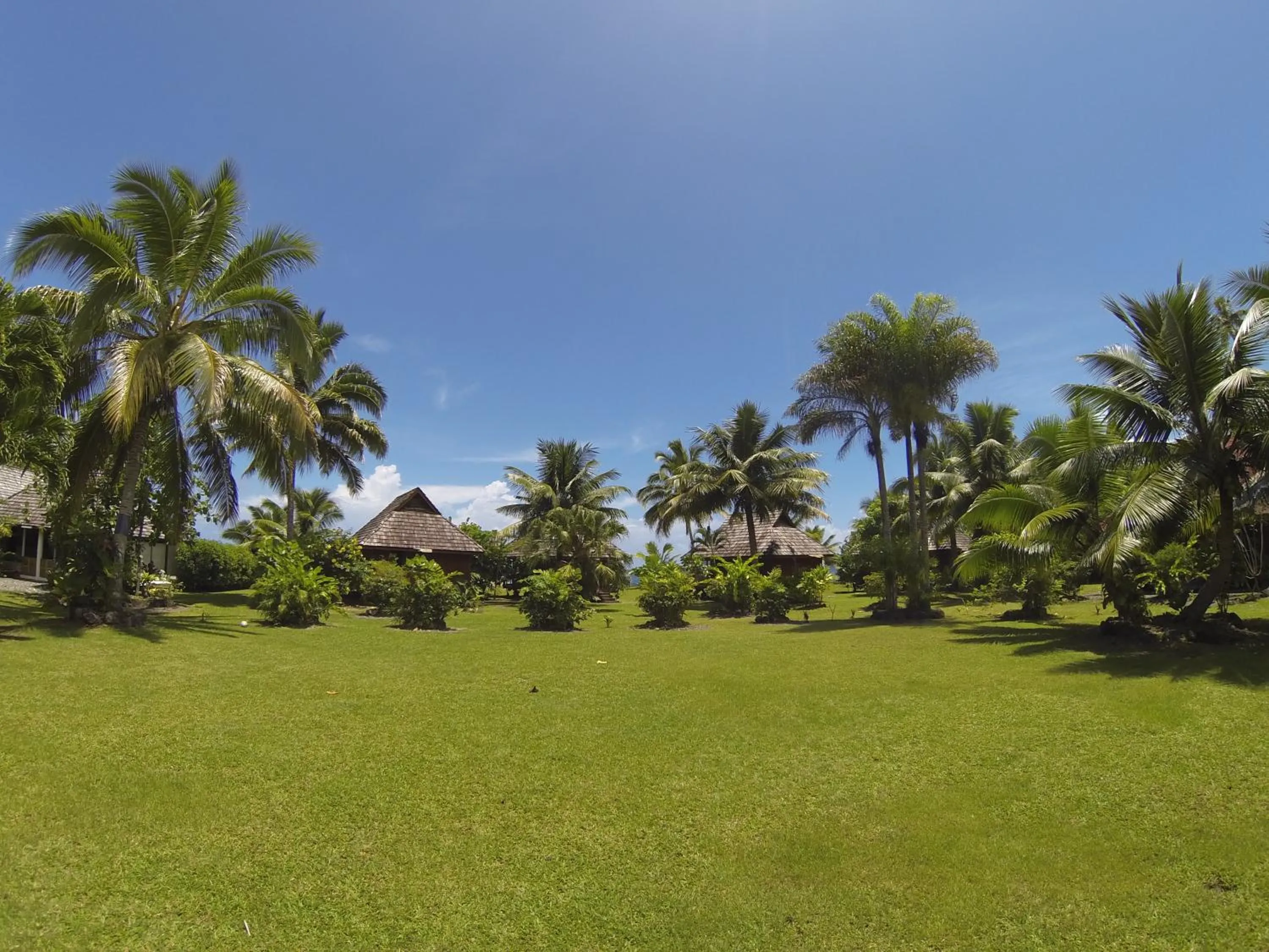 Garden in Punatea Village