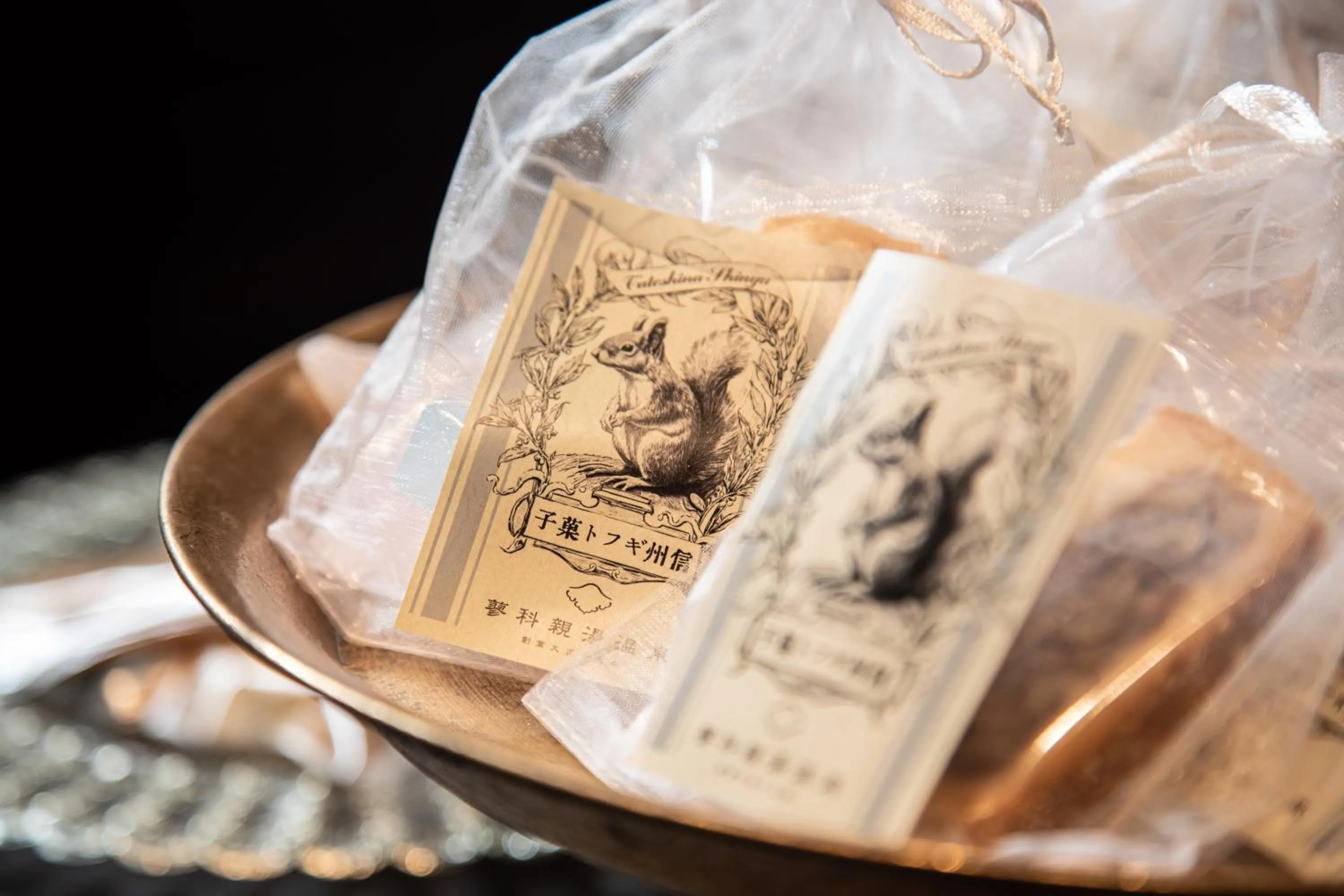 Shopping Area in Tateshina Shinyu Onsen