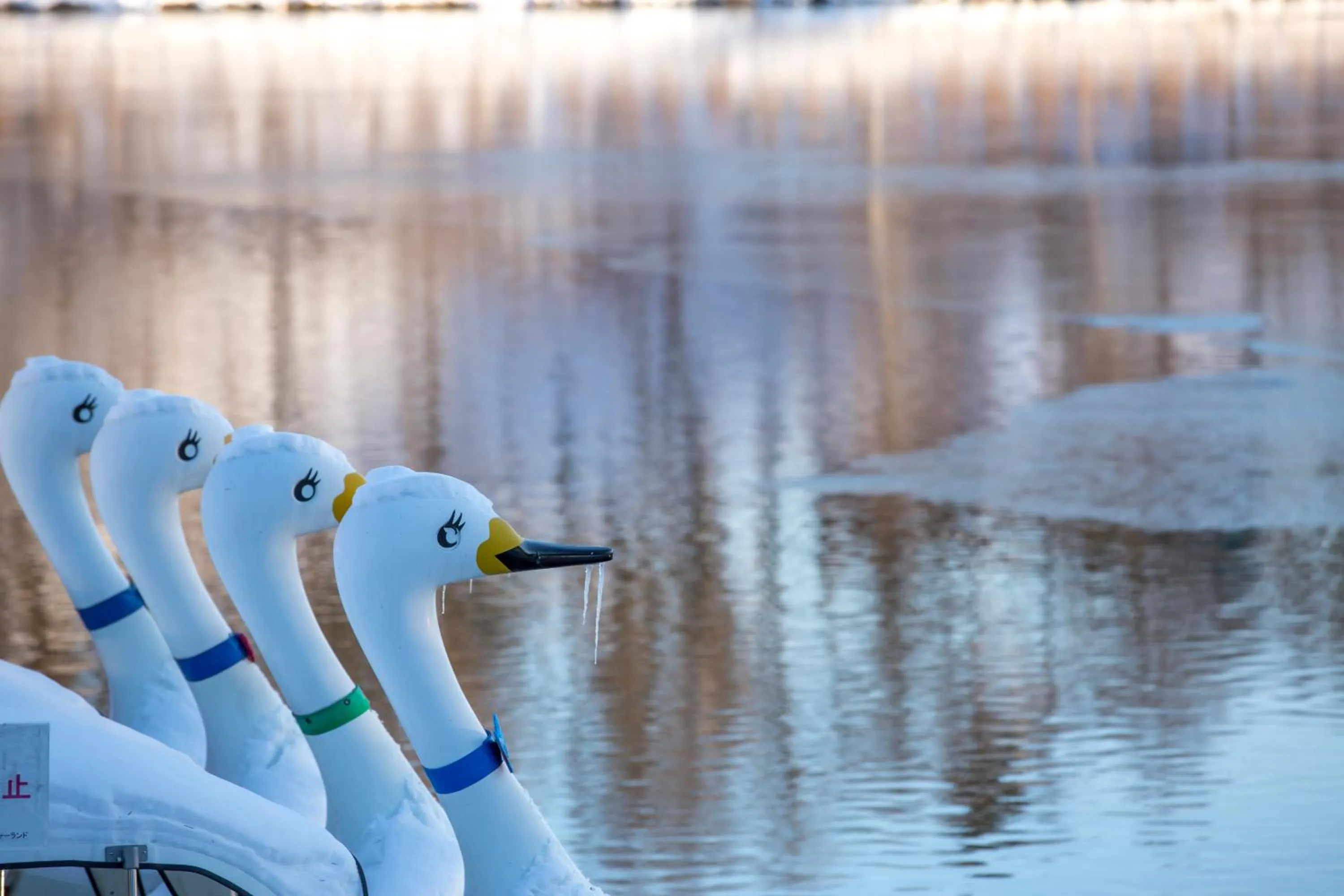 Other in Tateshina Shinyu Onsen