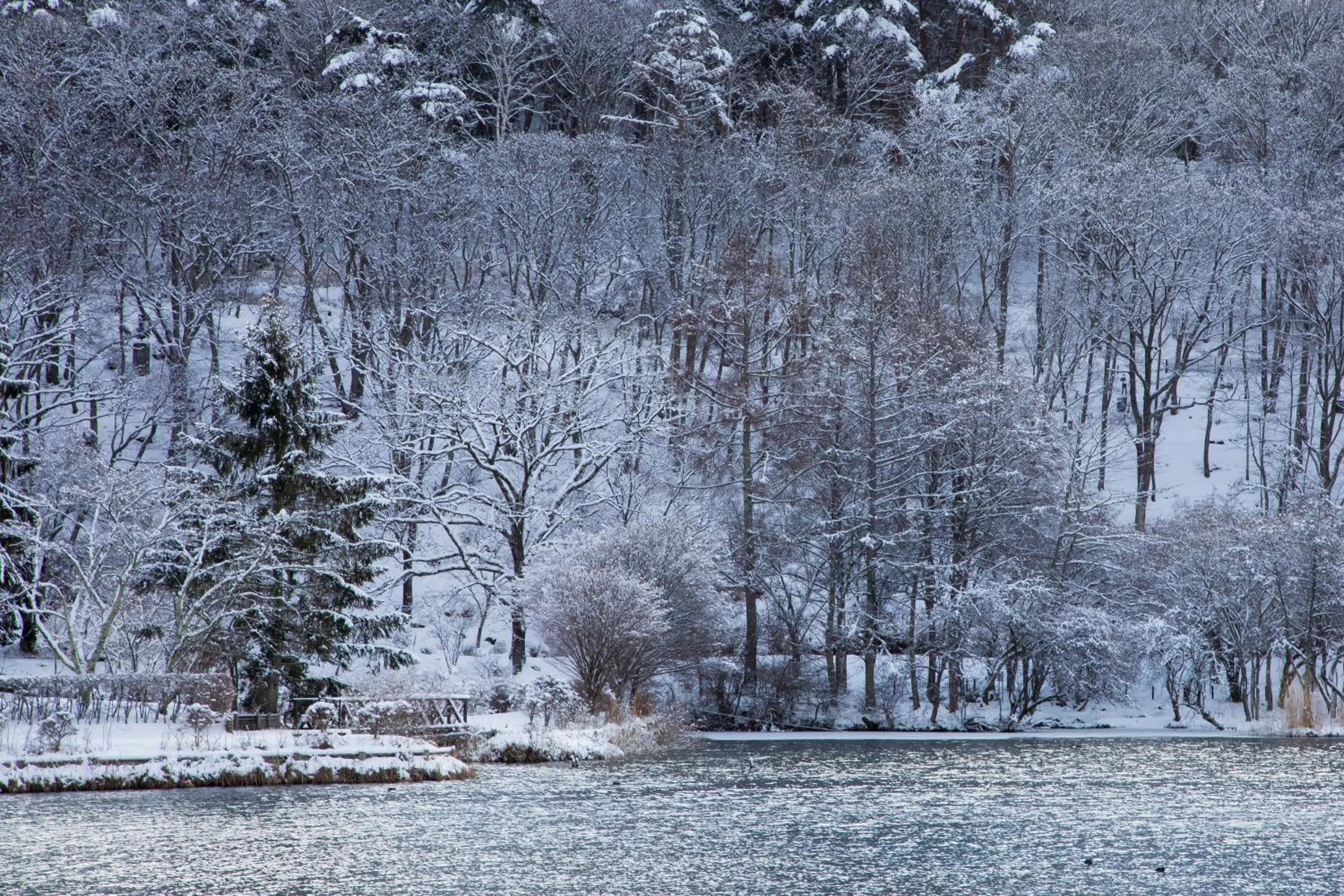 Nearby landmark in Tateshina Shinyu Onsen