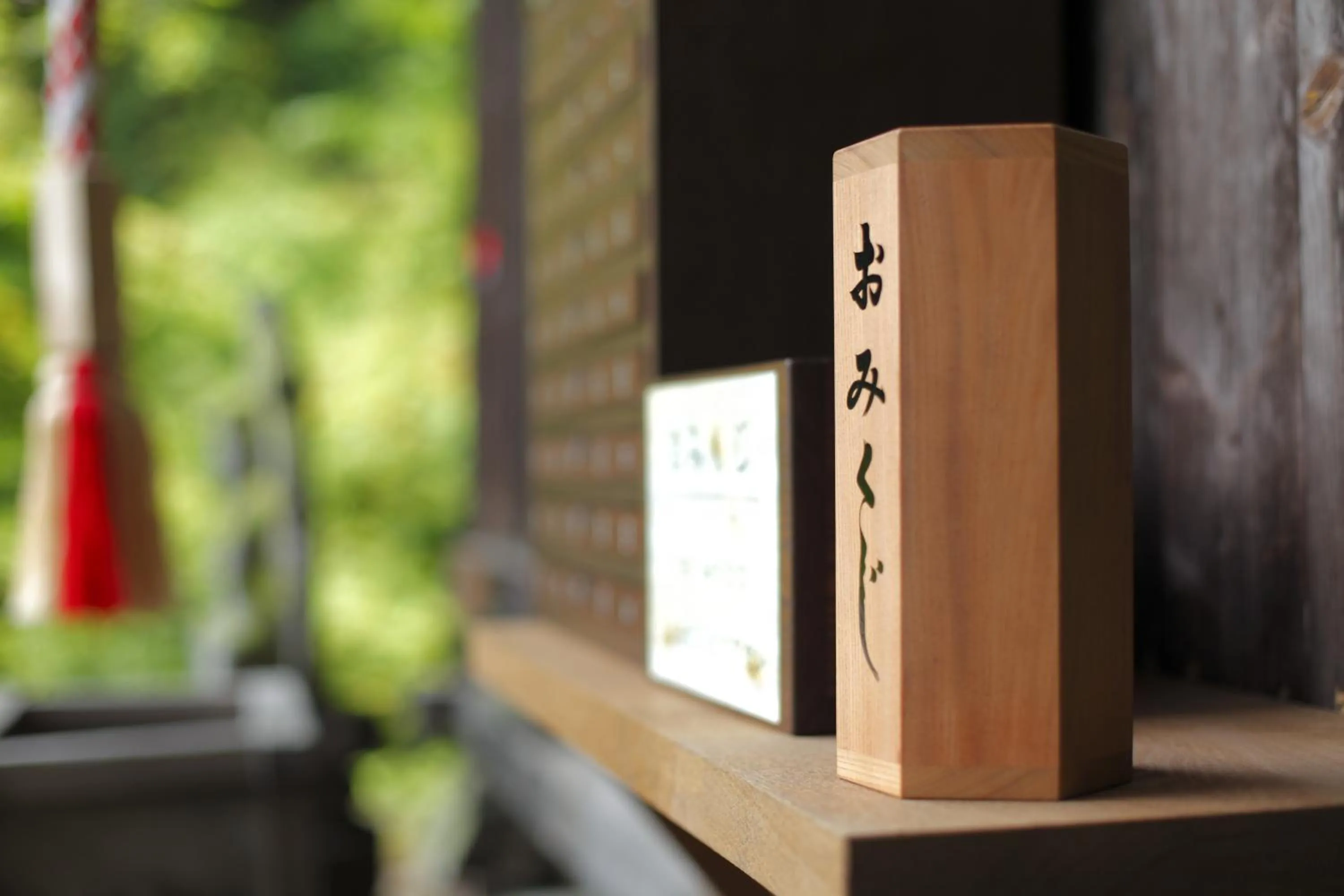 Garden in Tateshina Shinyu Onsen