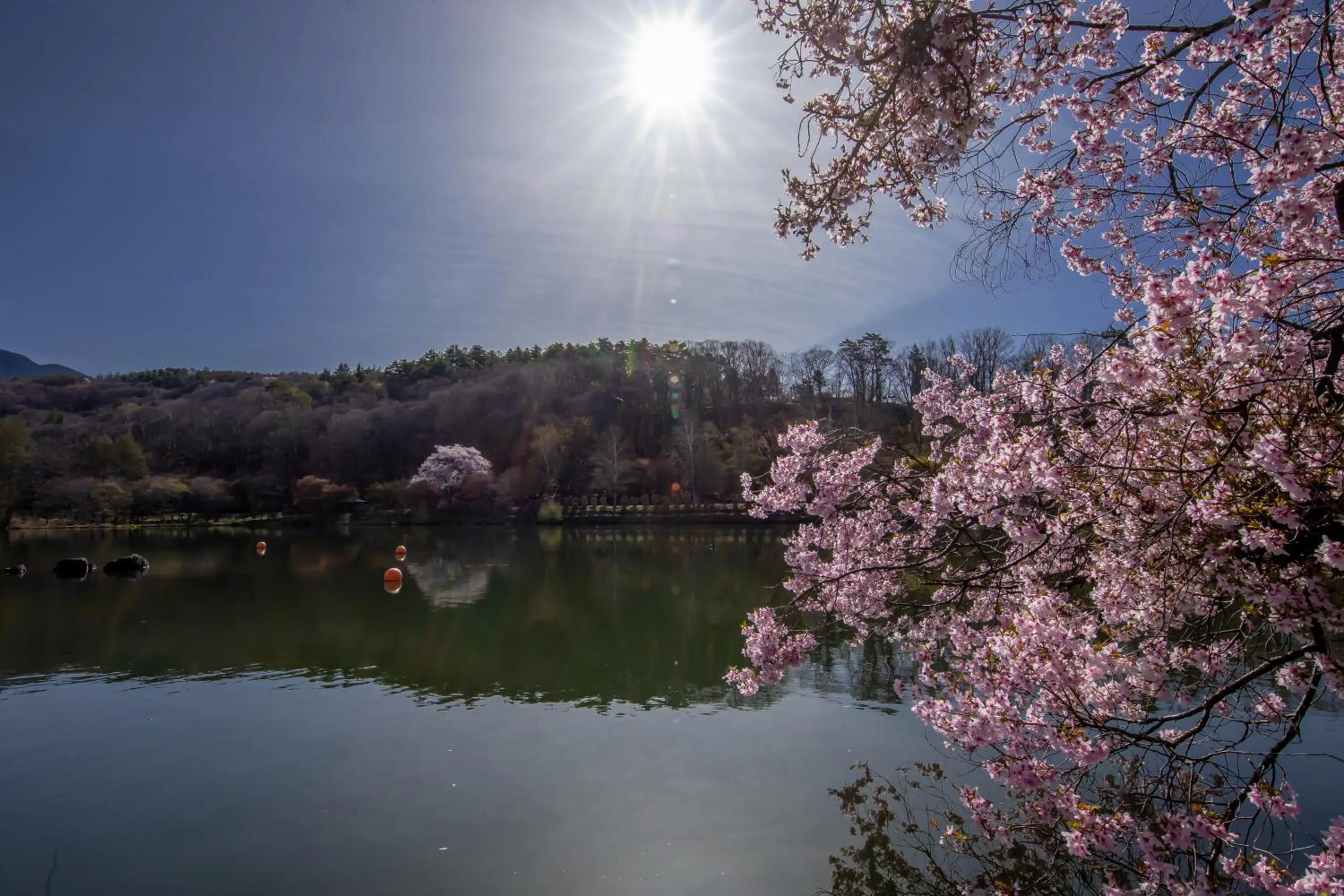 Nearby landmark in Tateshina Shinyu Onsen
