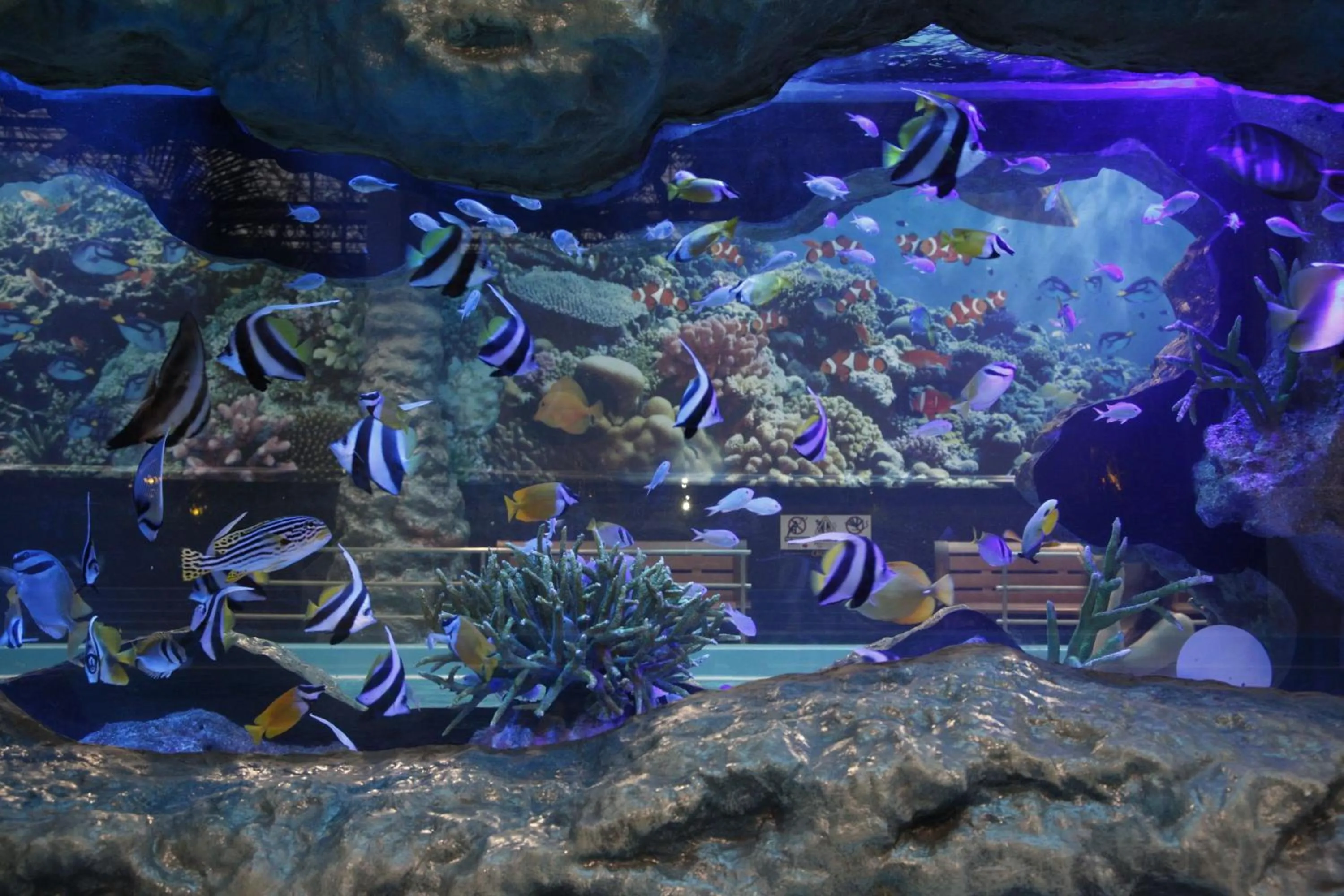 Aqua park in Spa Resort Hawaiians Monolith Tower