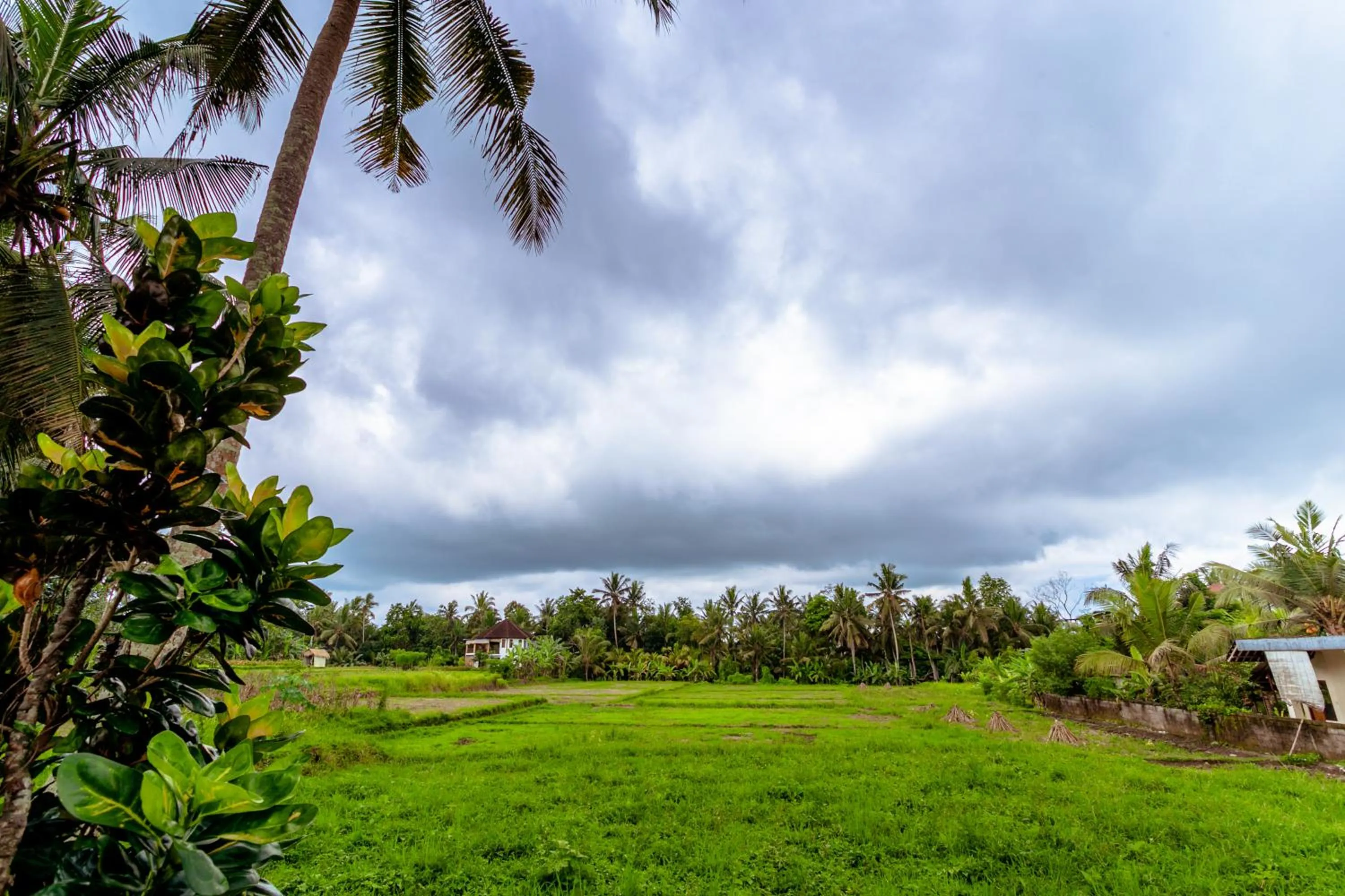 View (from property/room) in Rizky Guesthouse