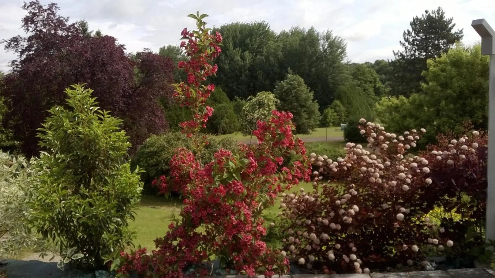 Garden in Logis Hotel Maison Carrée Restaurant O Carré dArt