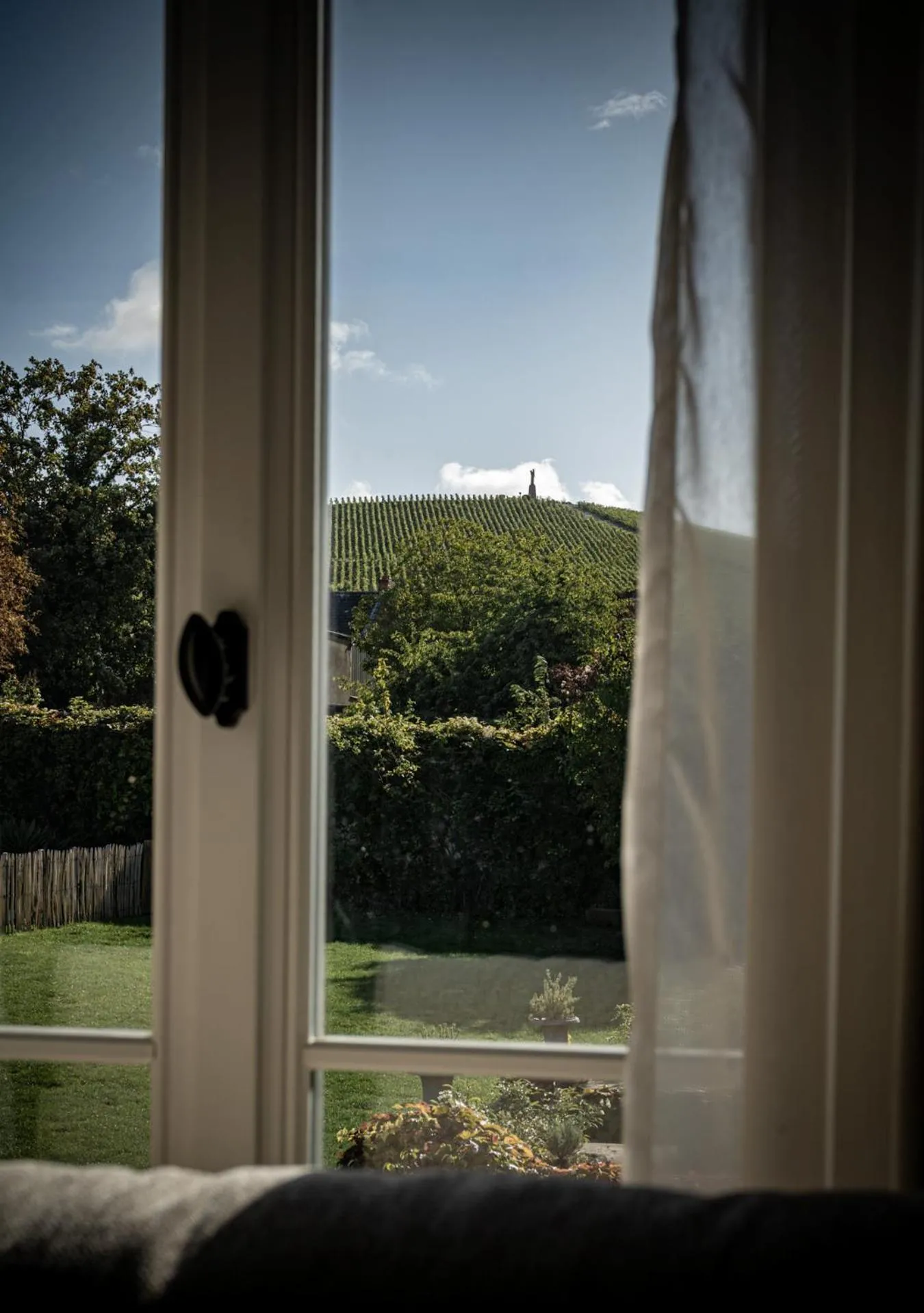 Natural landscape in Le Clos Corbier - Champagne Collard-Milesi