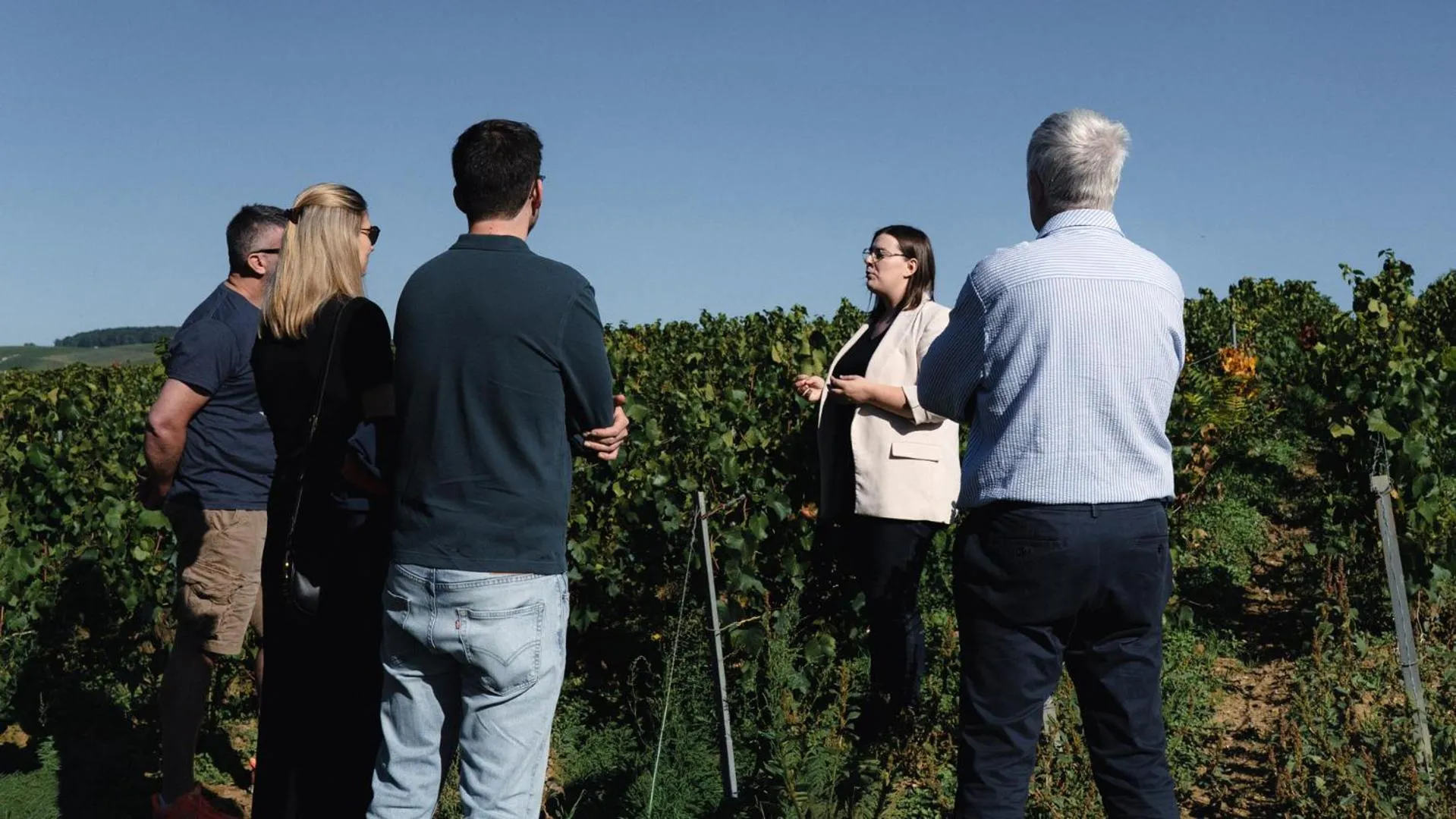 Le Clos Corbier - Champagne Collard-Milesi