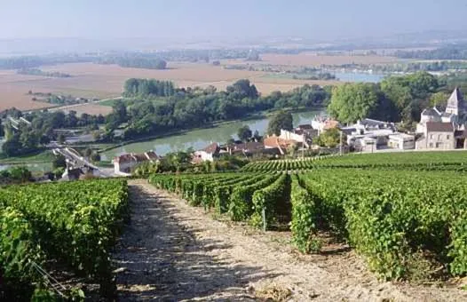 Property building in Le Clos Corbier - Champagne Collard-Milesi