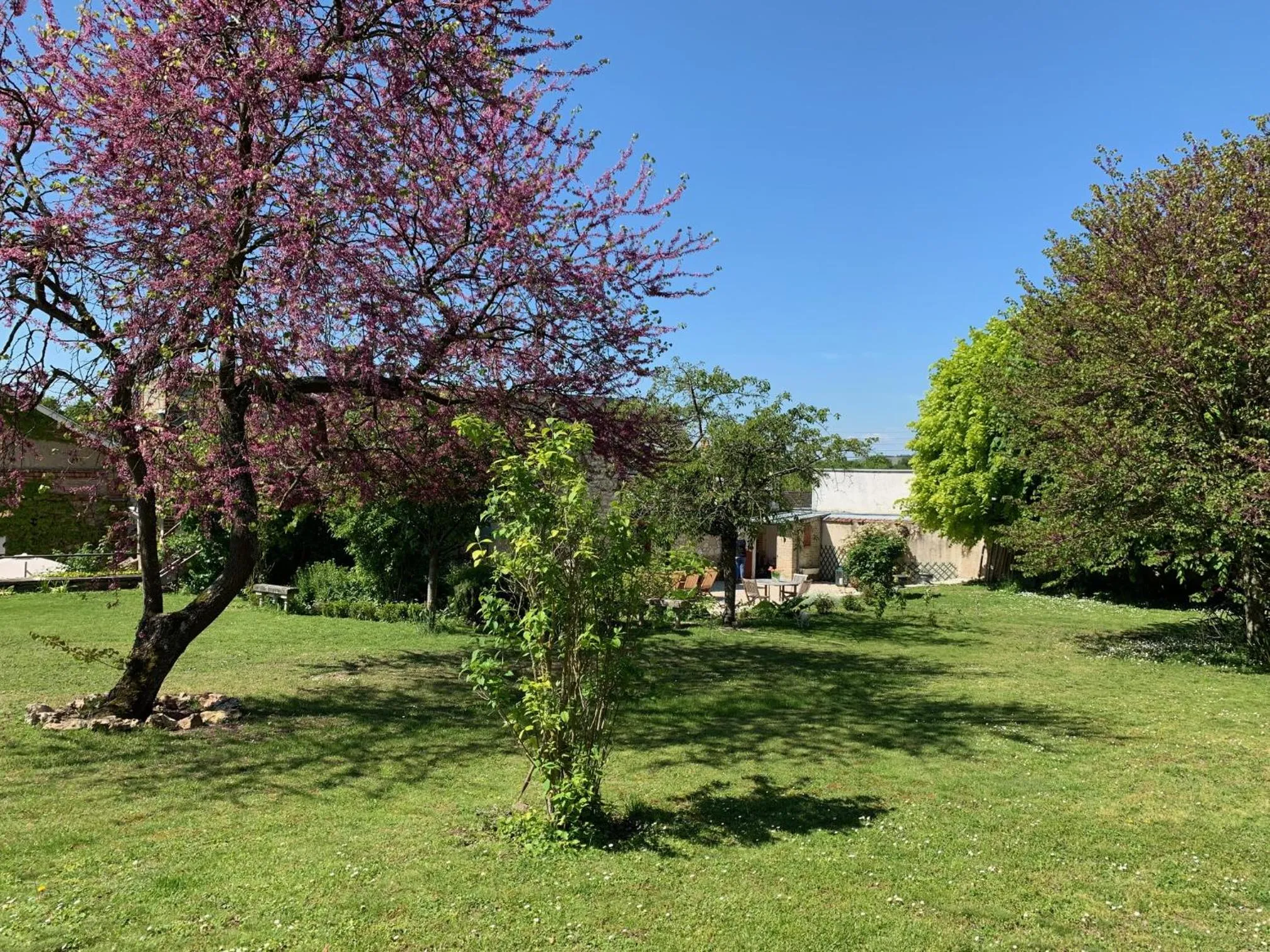 Garden in Le Clos Corbier - Champagne Collard-Milesi
