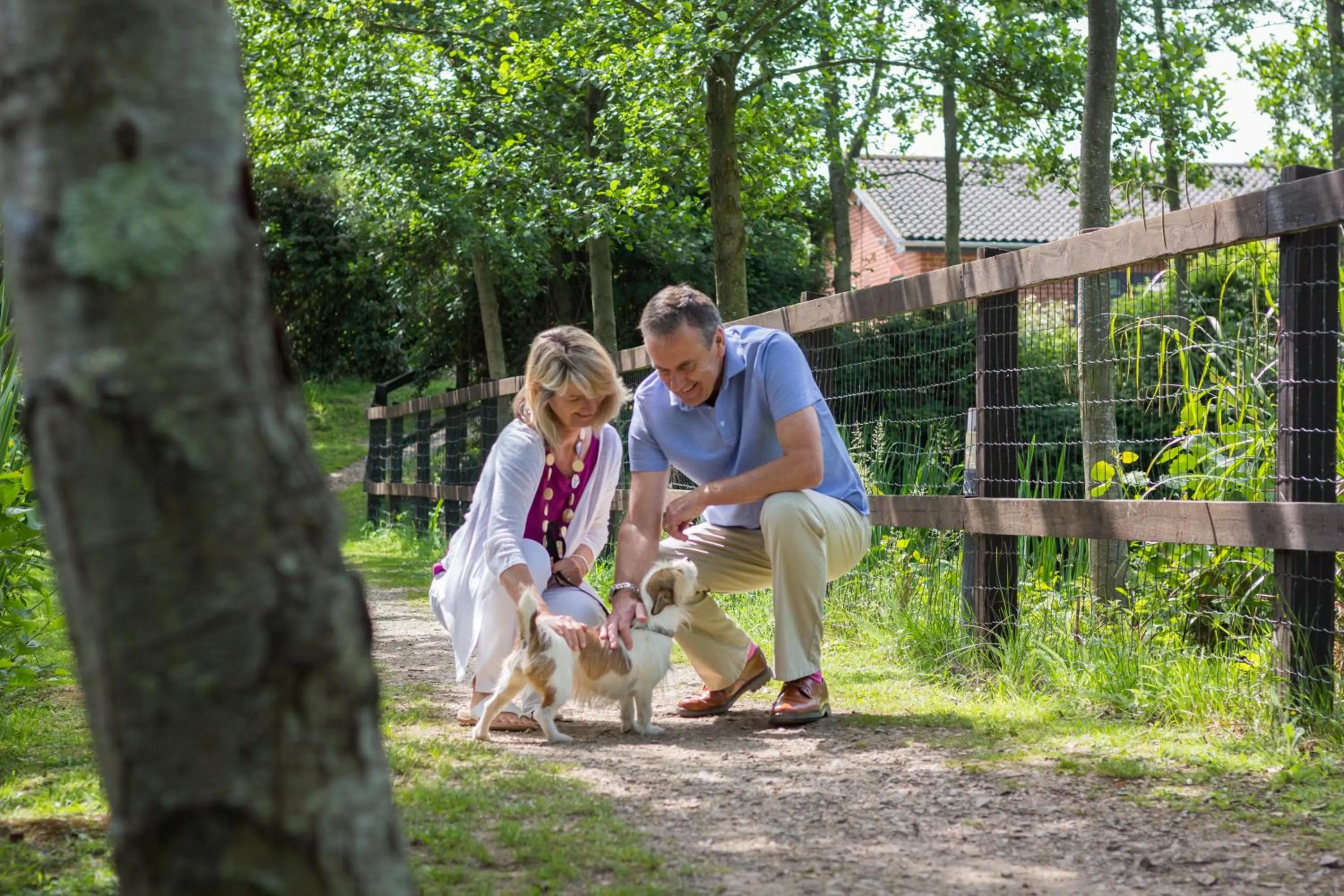 Garden view in The Lakes Rookley Holiday Park
