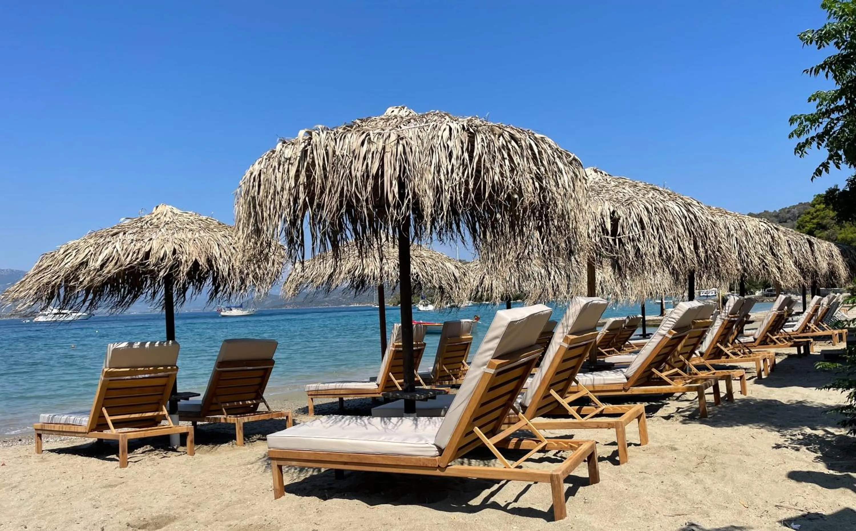 Restaurant/places to eat in Hotel Pavlou