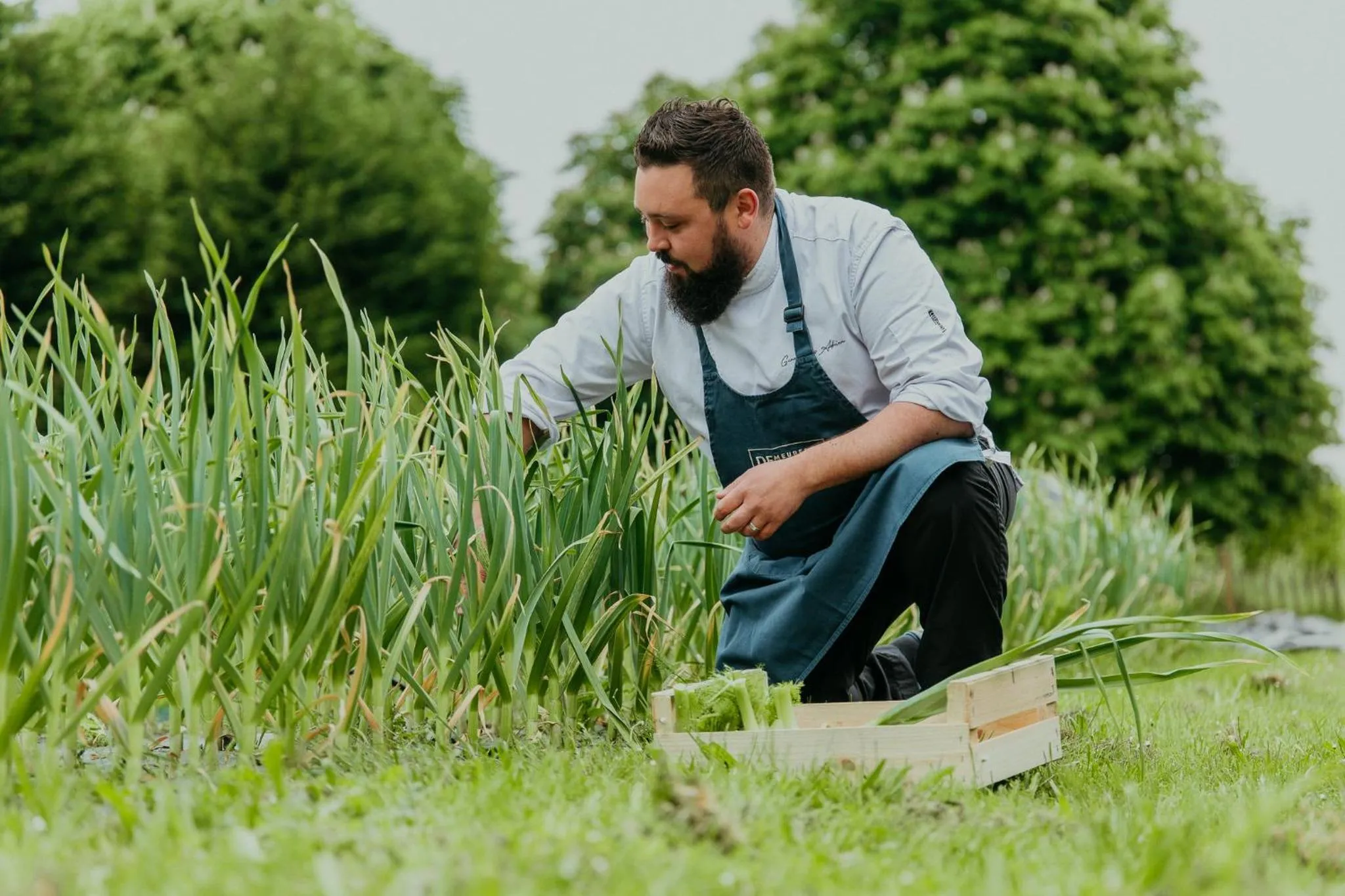 Restaurant/places to eat in Demeures de Campagne Parc du Coudray - Barbizon