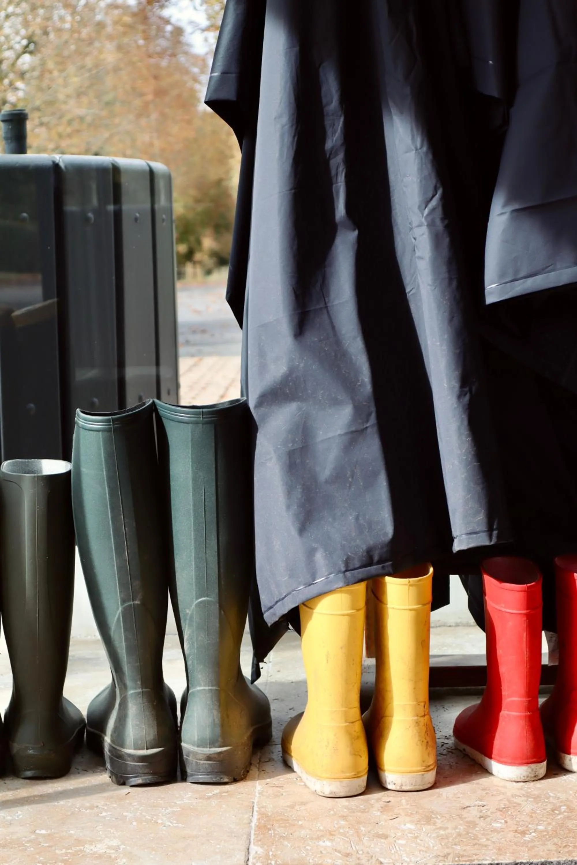 Activities in Demeures de Campagne Parc du Coudray - Barbizon