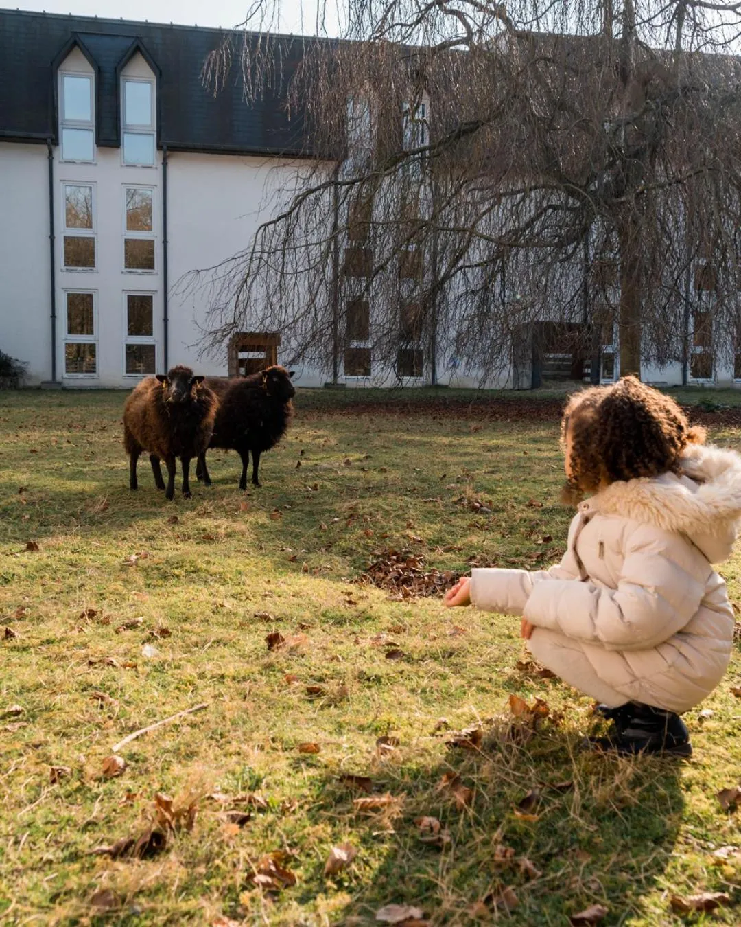Natural landscape in Demeures de Campagne Parc du Coudray - Barbizon