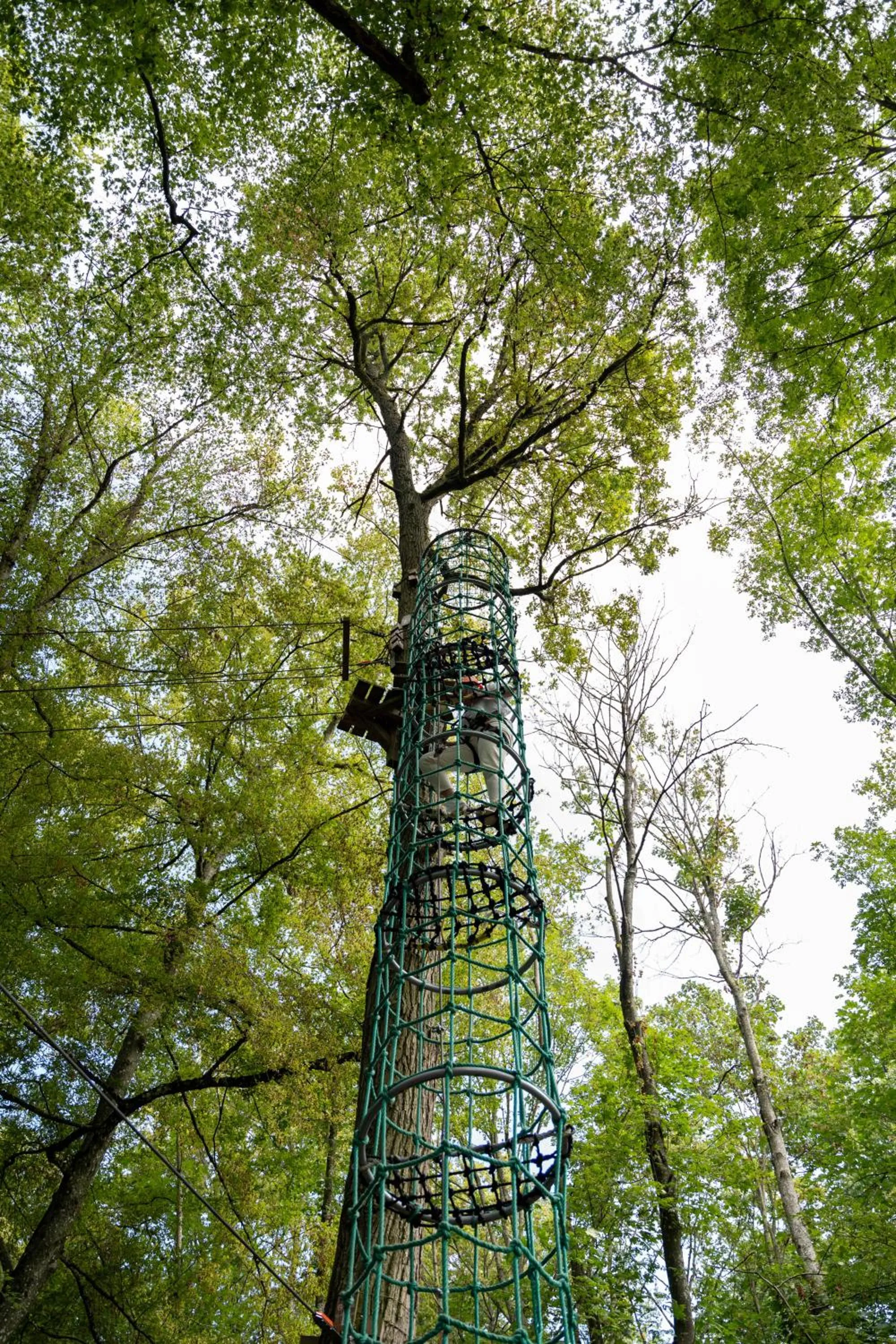 Activities in Demeures de Campagne Parc du Coudray - Barbizon