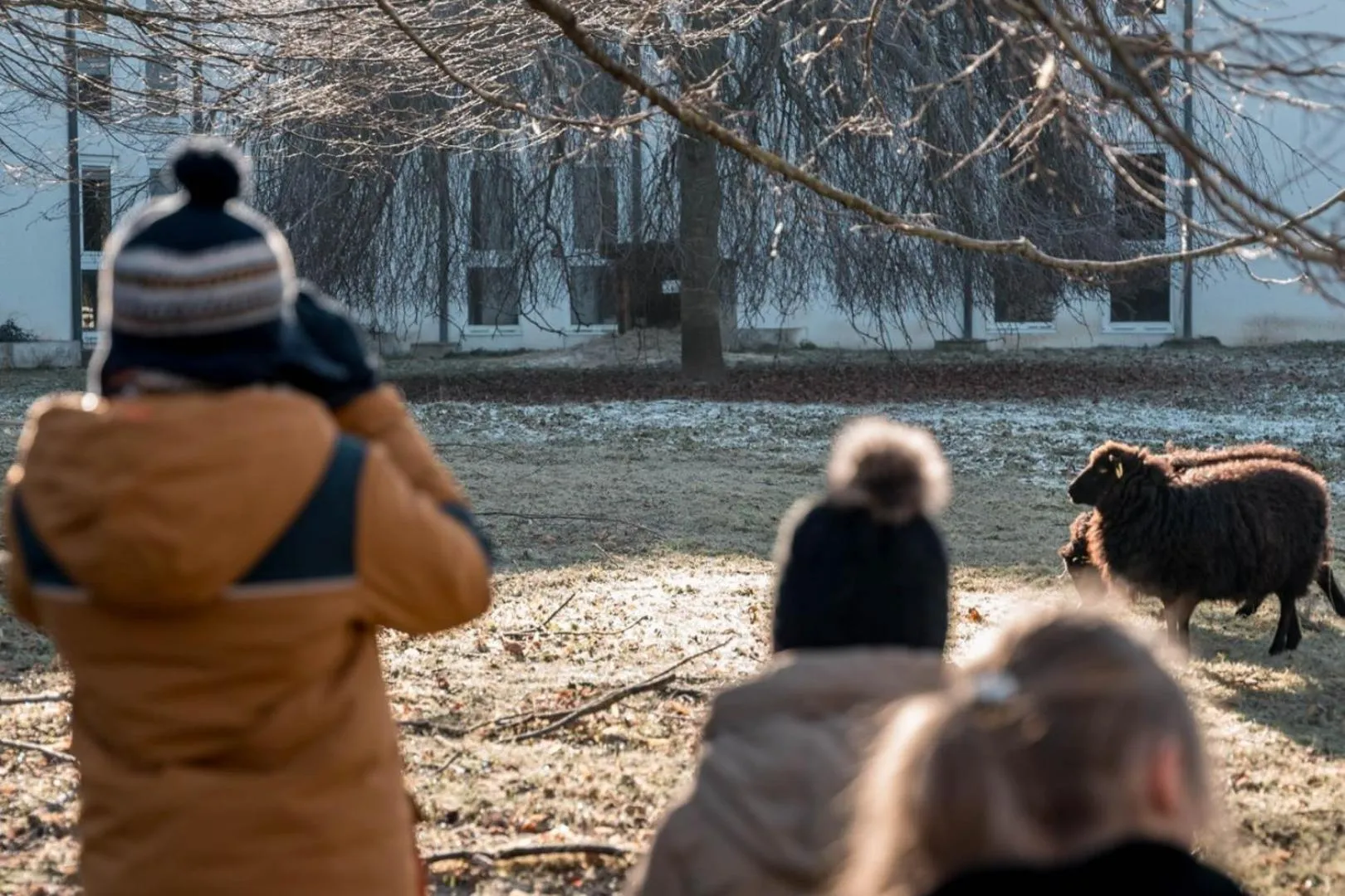 Animals in Demeures de Campagne Parc du Coudray - Barbizon