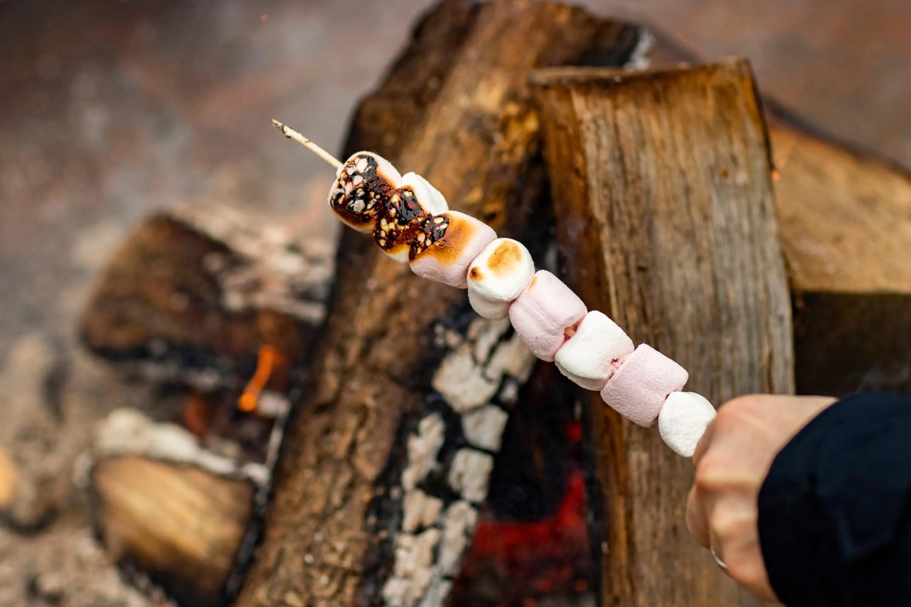 Food, Other Animals in Demeures de Campagne Domaine de Maffliers