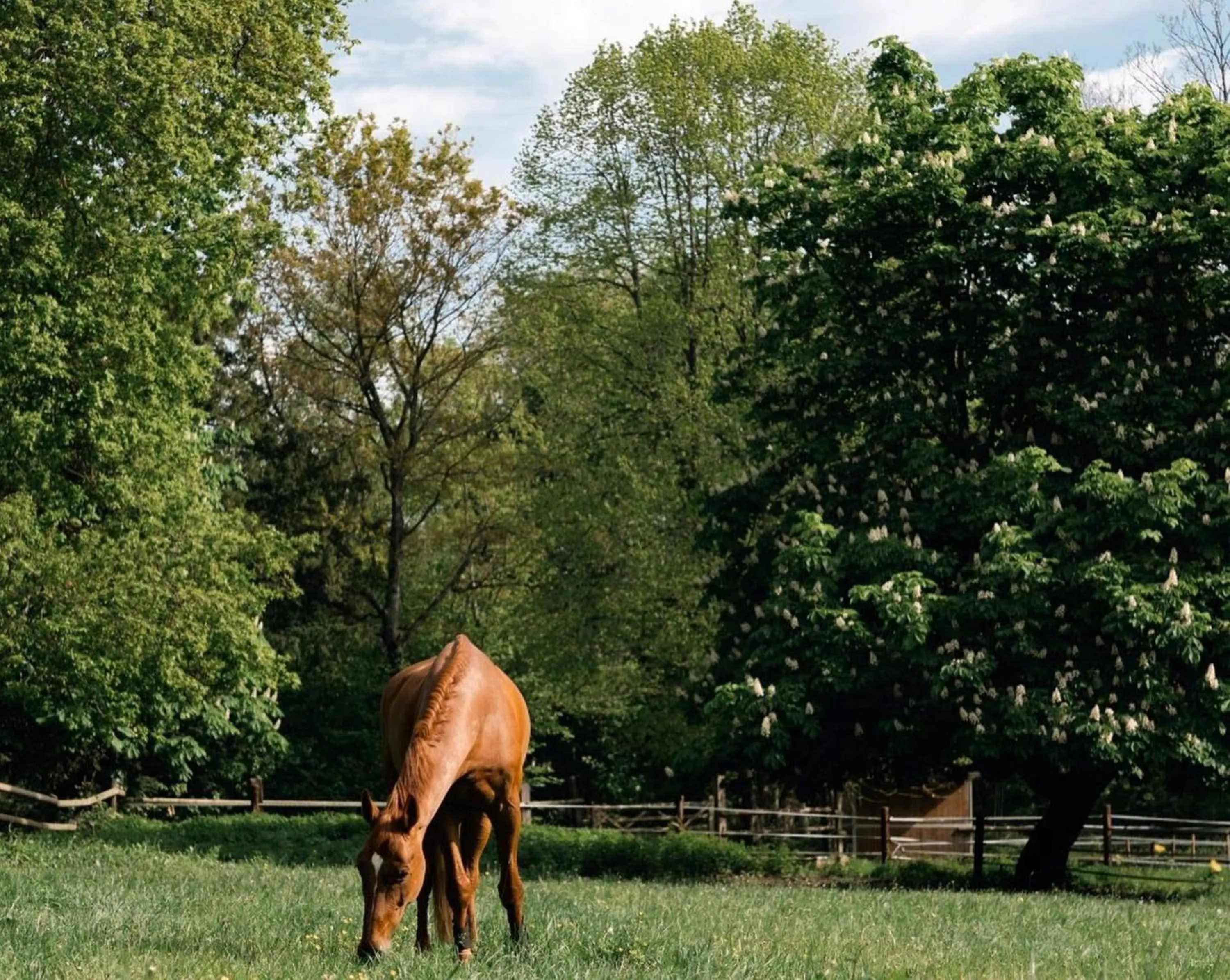 Natural landscape, Guests in Demeures de Campagne Domaine de Maffliers