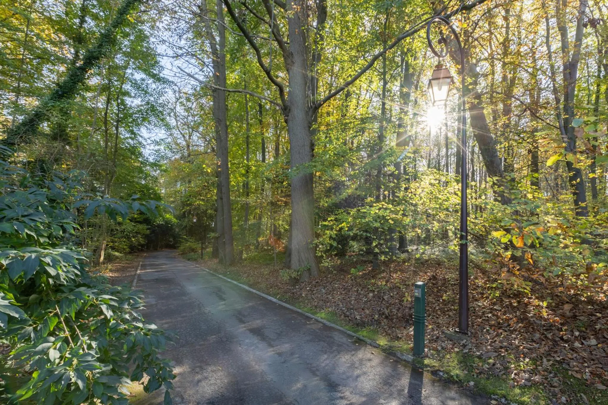 Natural landscape in Demeures de Campagne Domaine de Maffliers