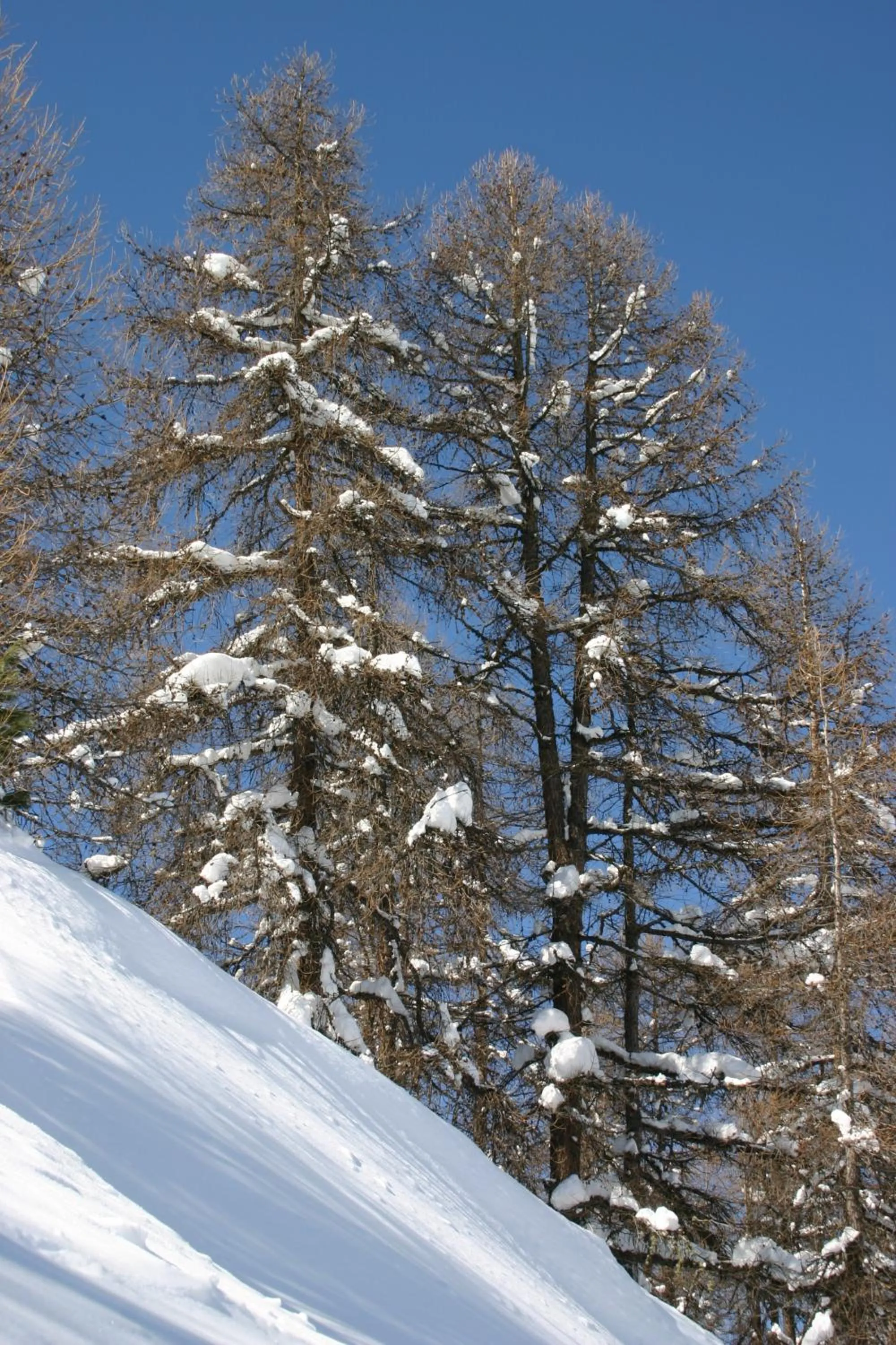 Day in Madame Vacances Lodges des Alpages