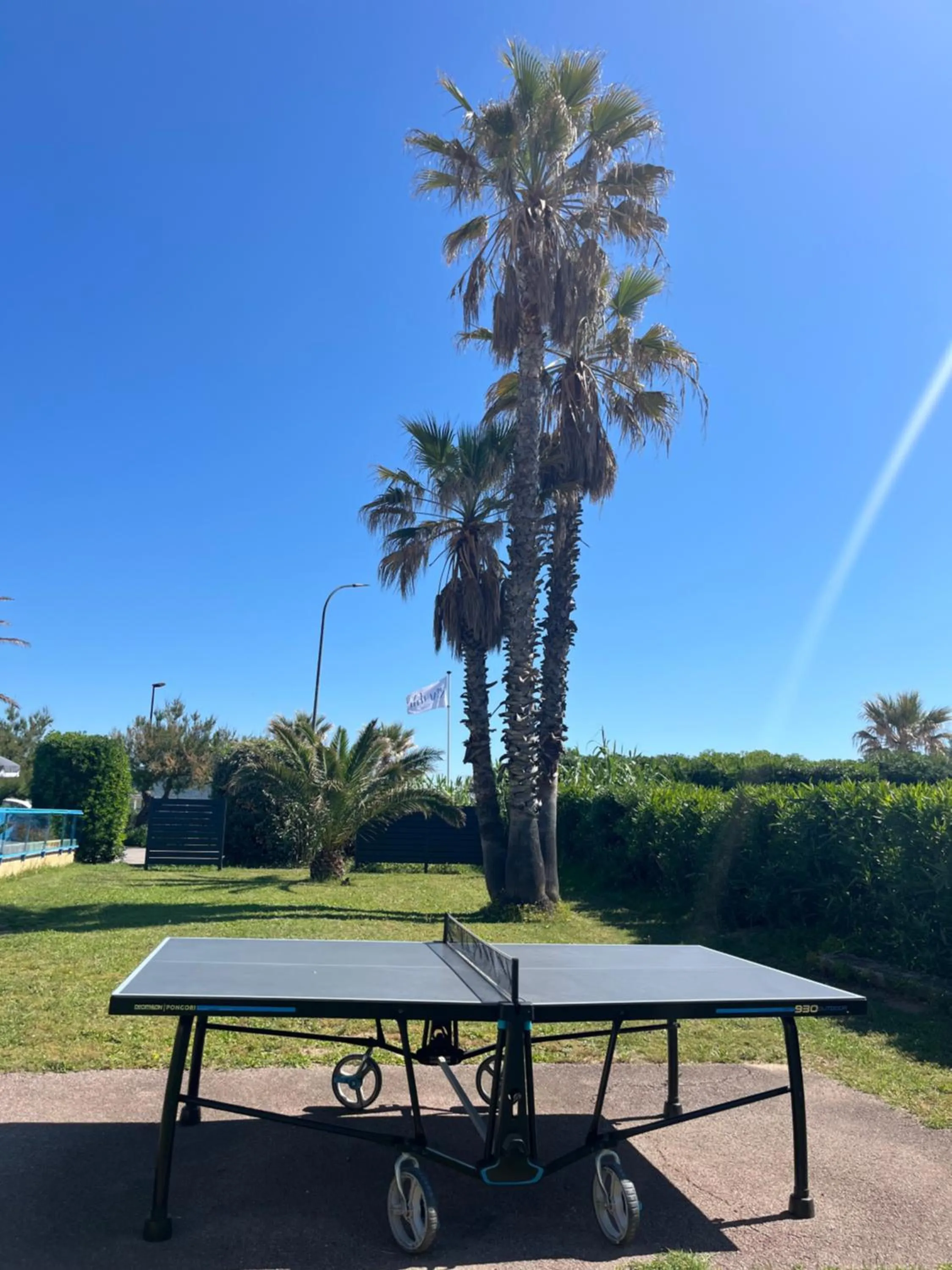 Table tennis in Hôtel La Nartelle
