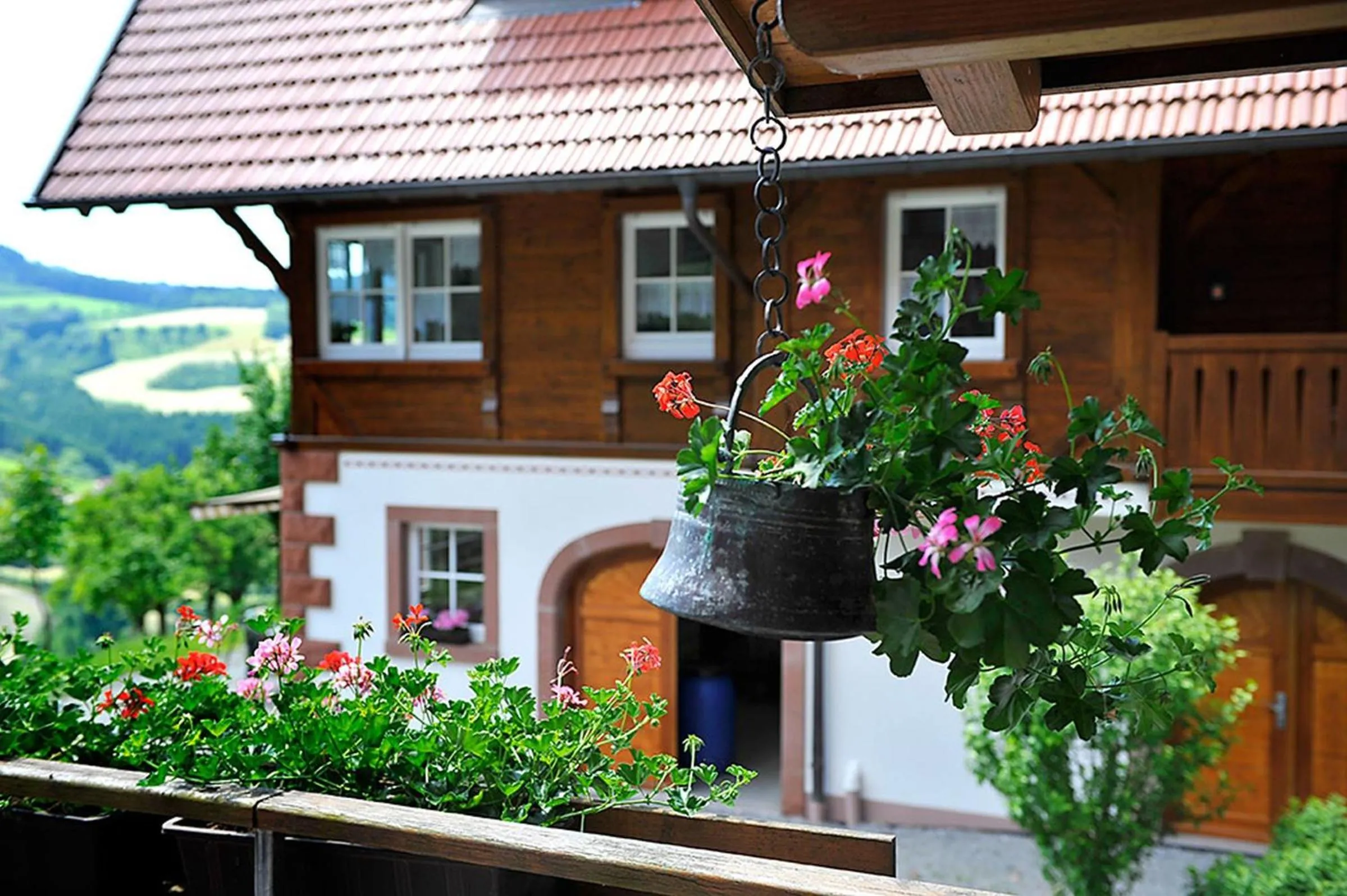 Riehle Hof