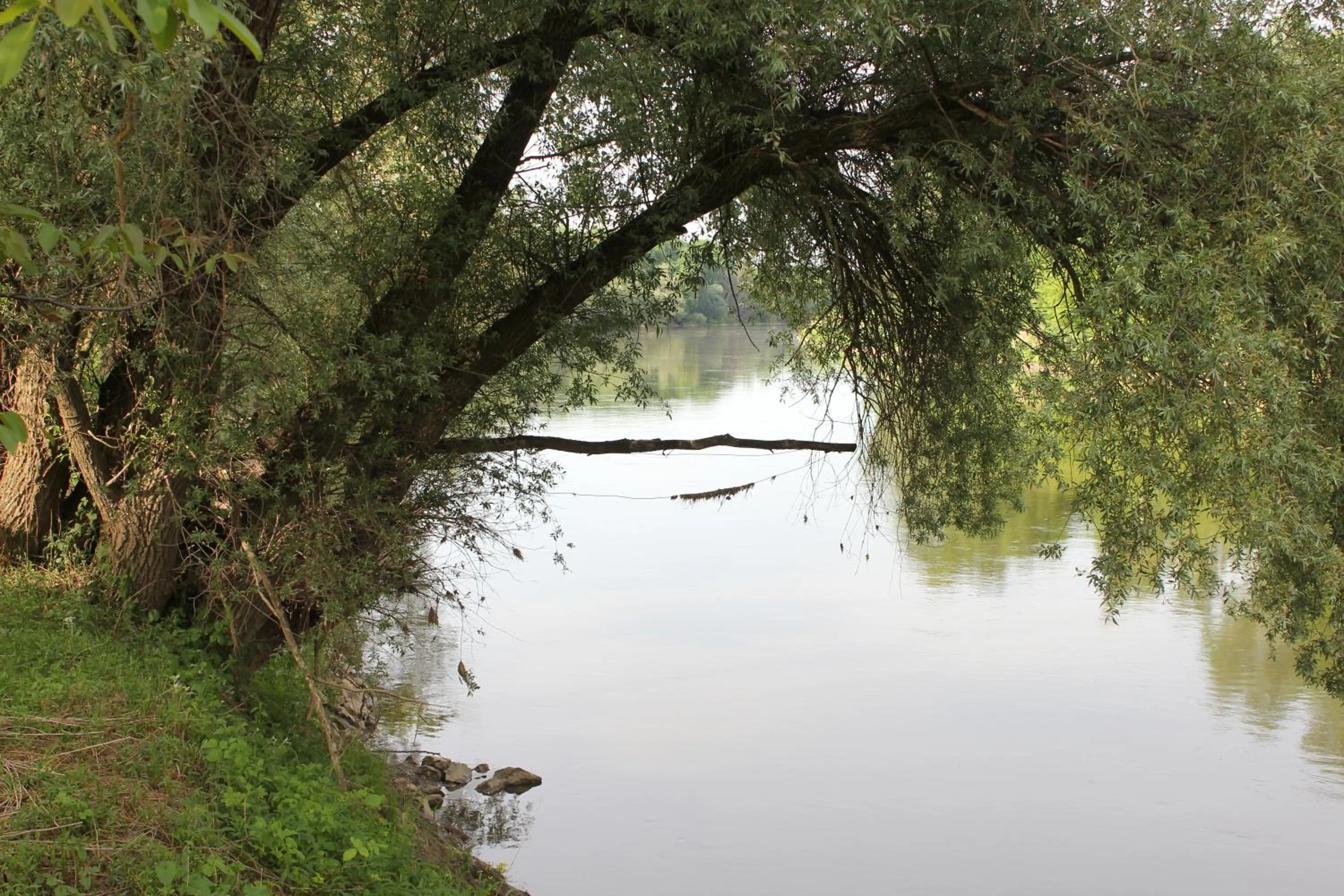 Natural landscape in Winzerhof Küssler - Weinviertel