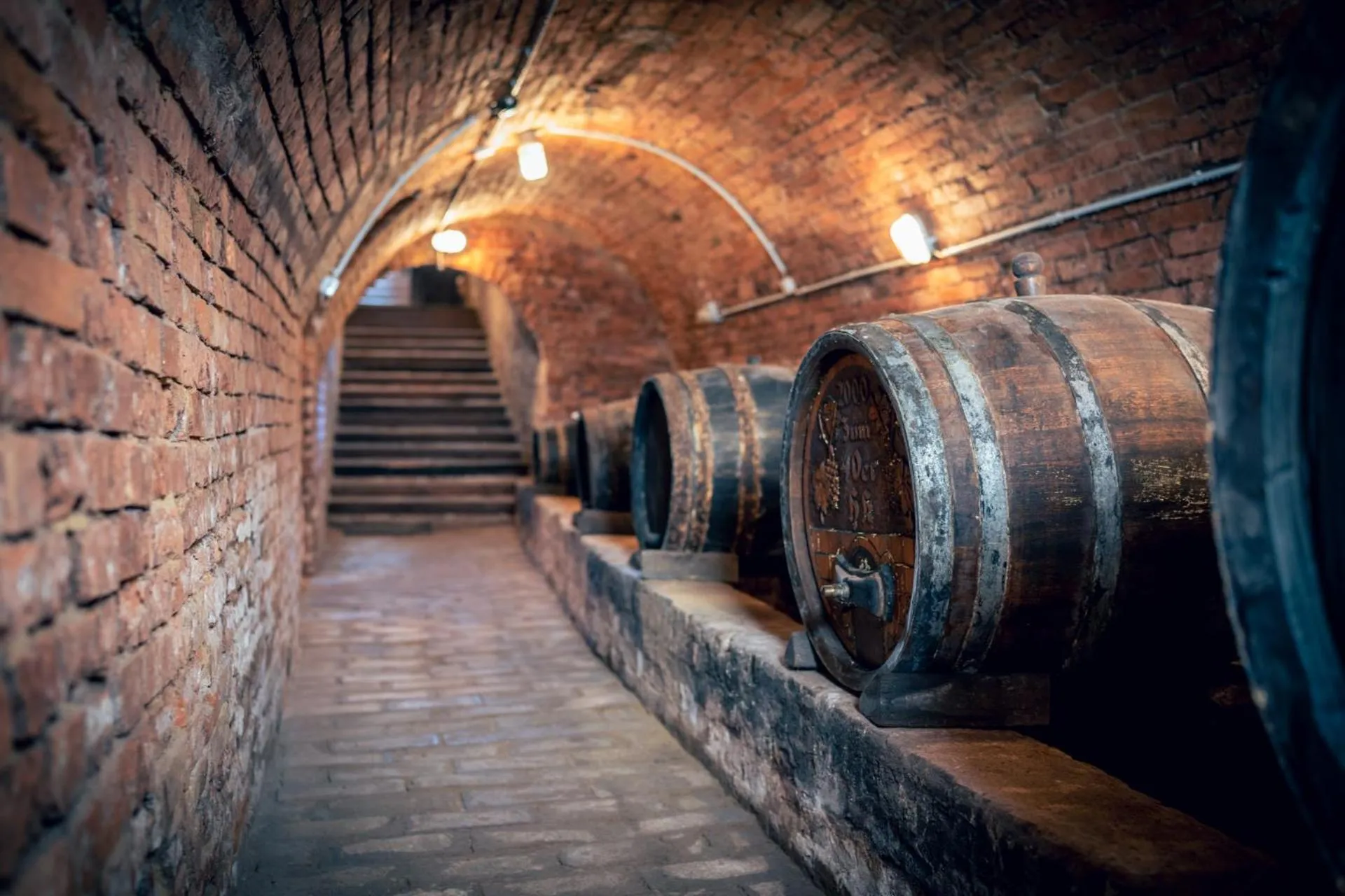 Living room in Winzerhof Küssler - Weinviertel