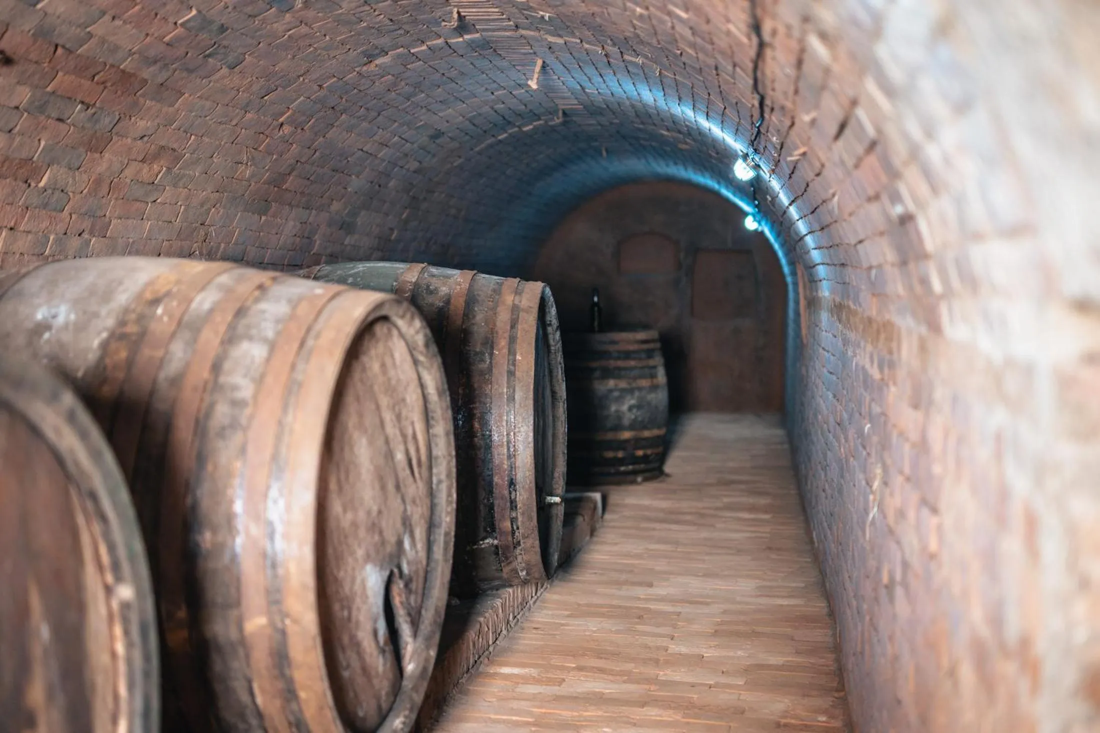 Restaurant/places to eat in Winzerhof Küssler - Weinviertel