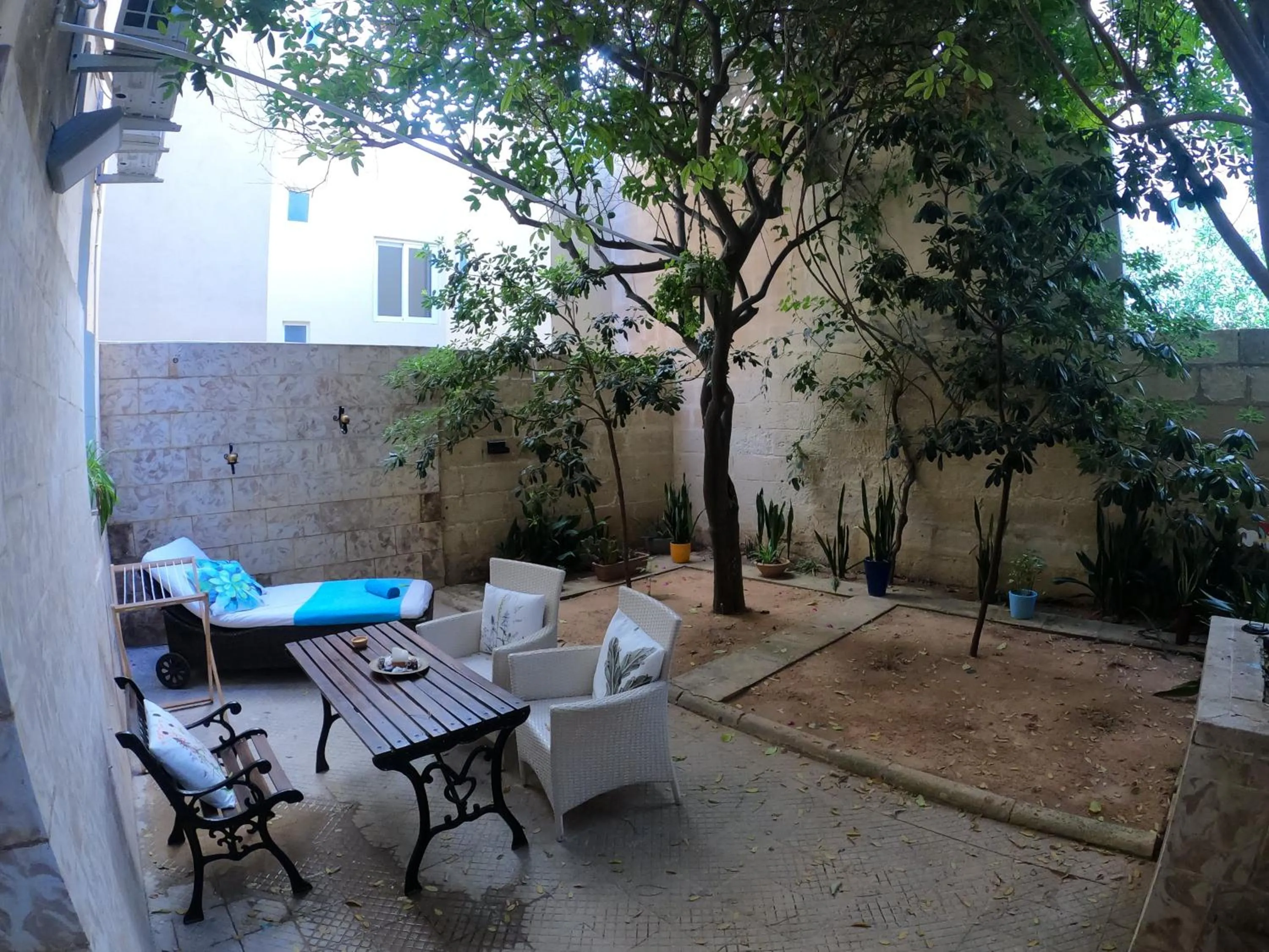 Garden in The Maltese Sun