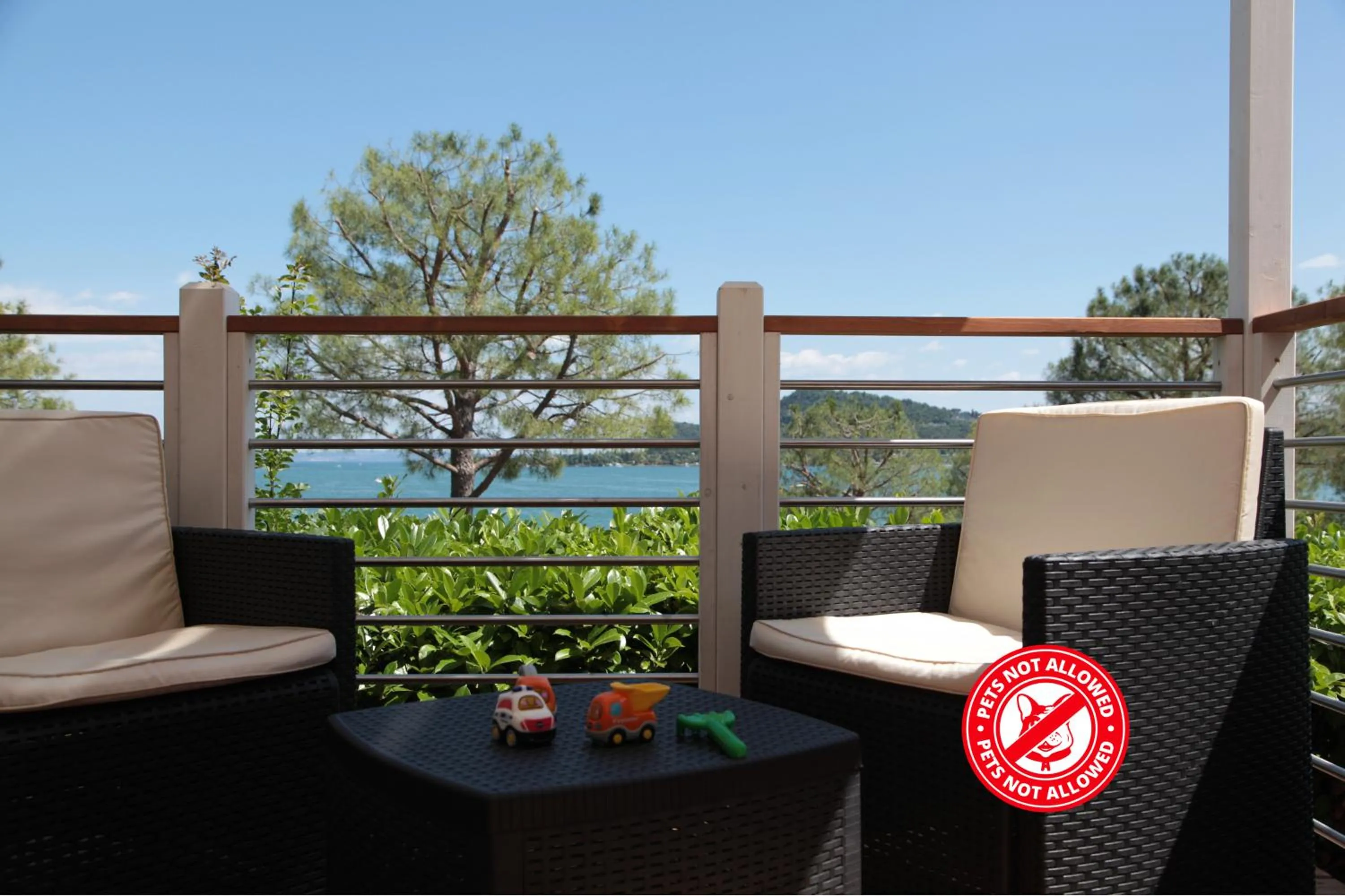 Balcony/Terrace in Campeggio Europa Silvella