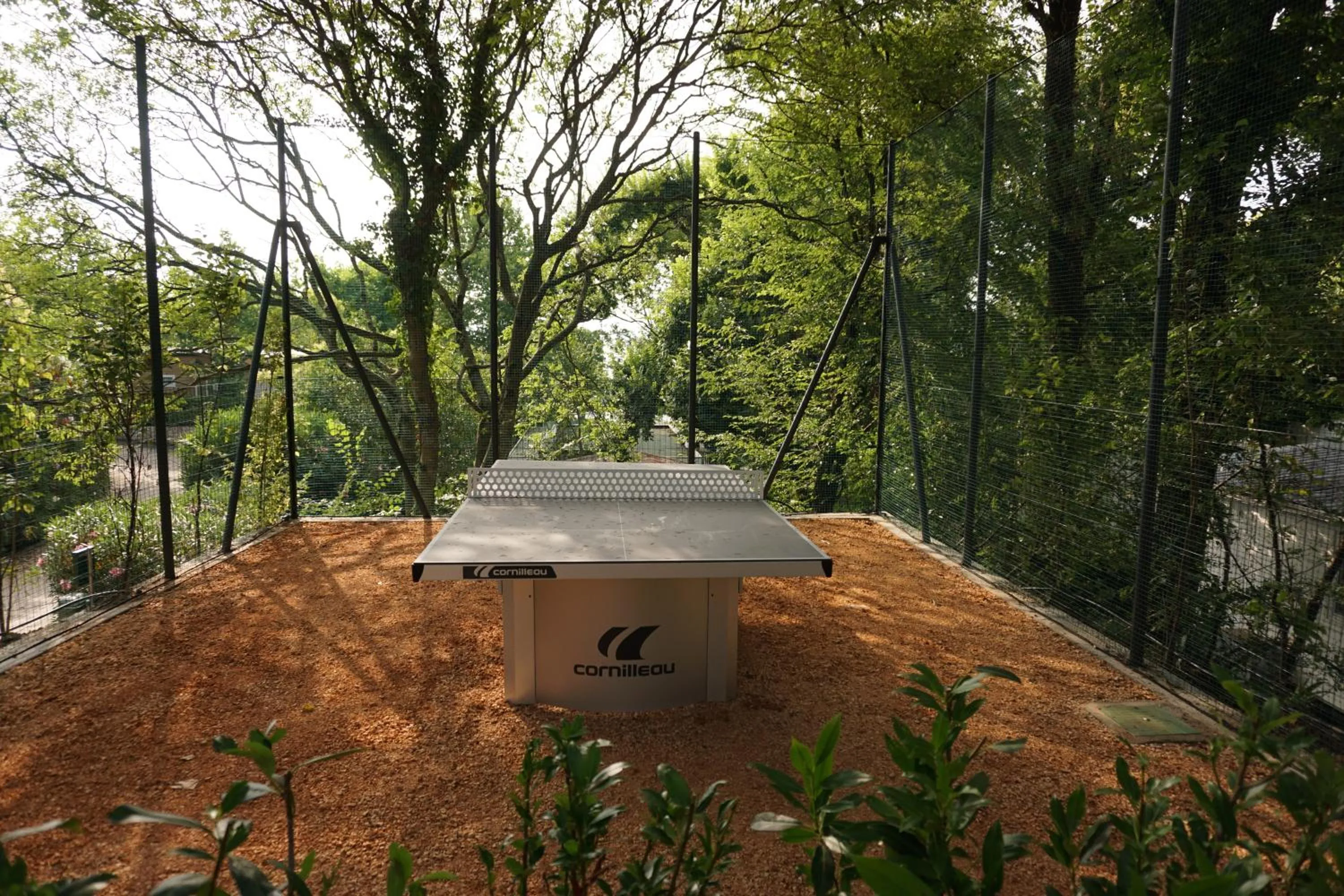 Table tennis in Campeggio Europa Silvella