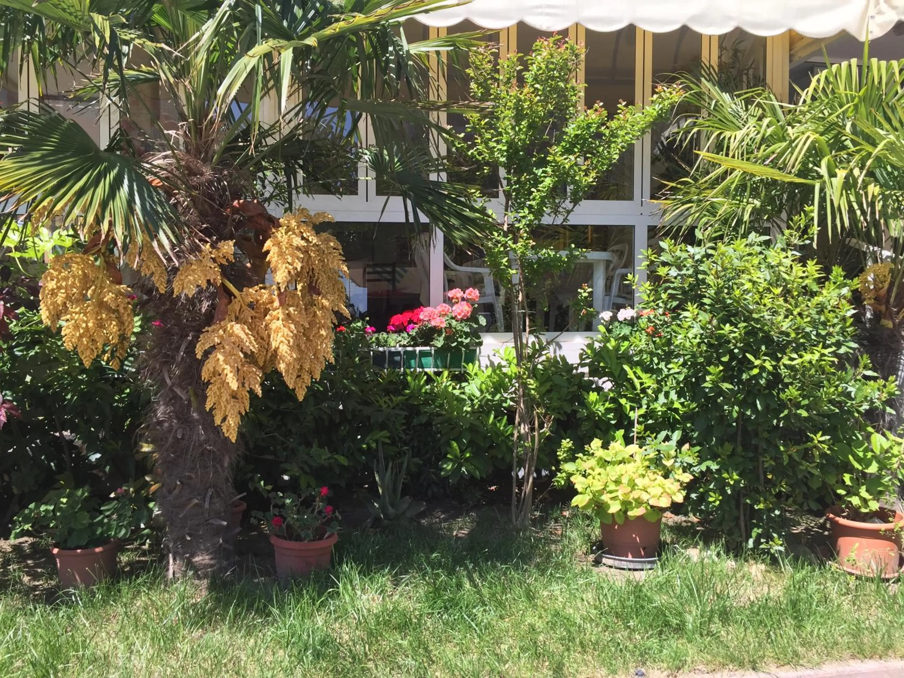 Property building in Hotel Halifax