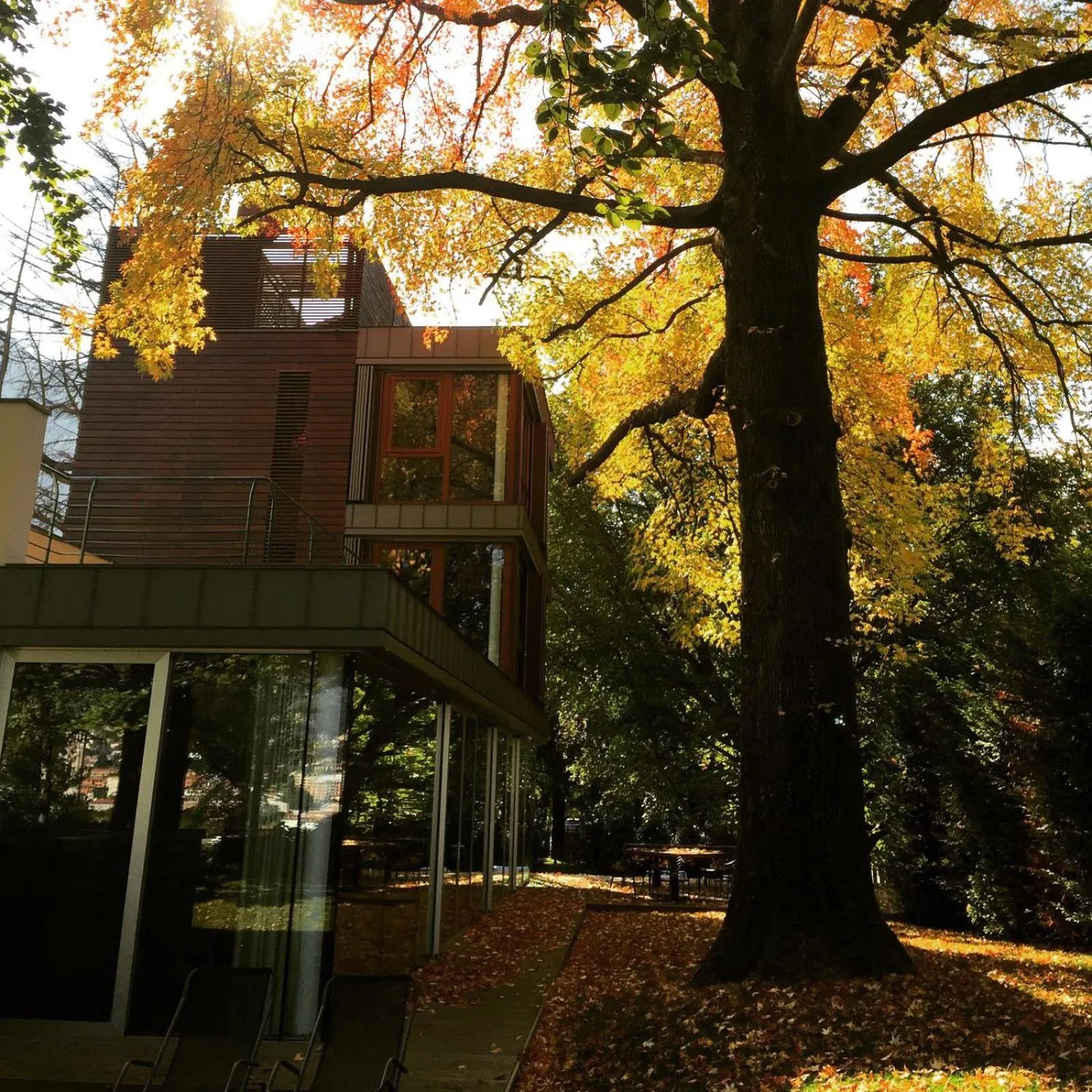 Property building in Casa Sull'Albero