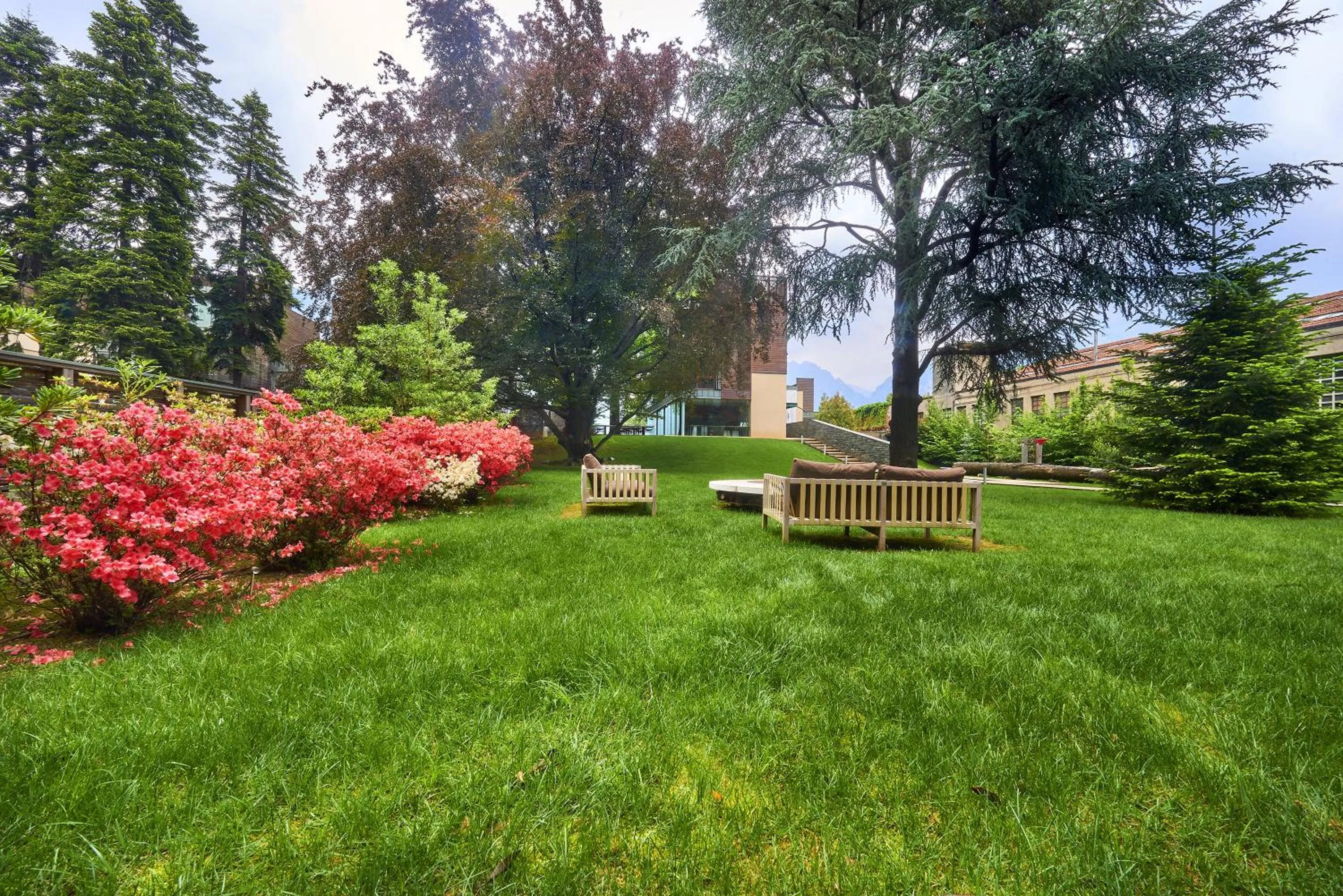 Day in Casa Sull'Albero