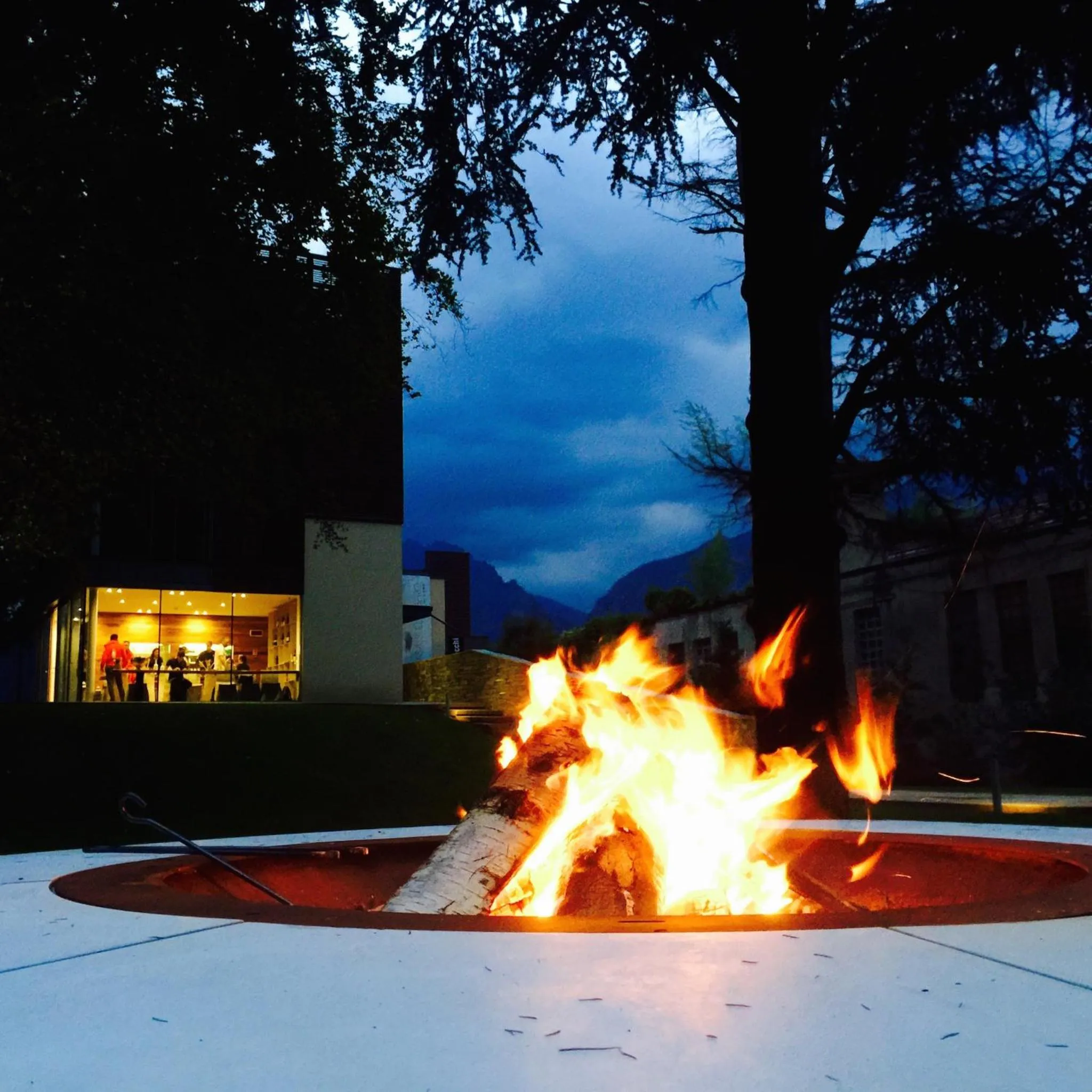 Other in Casa Sull'Albero