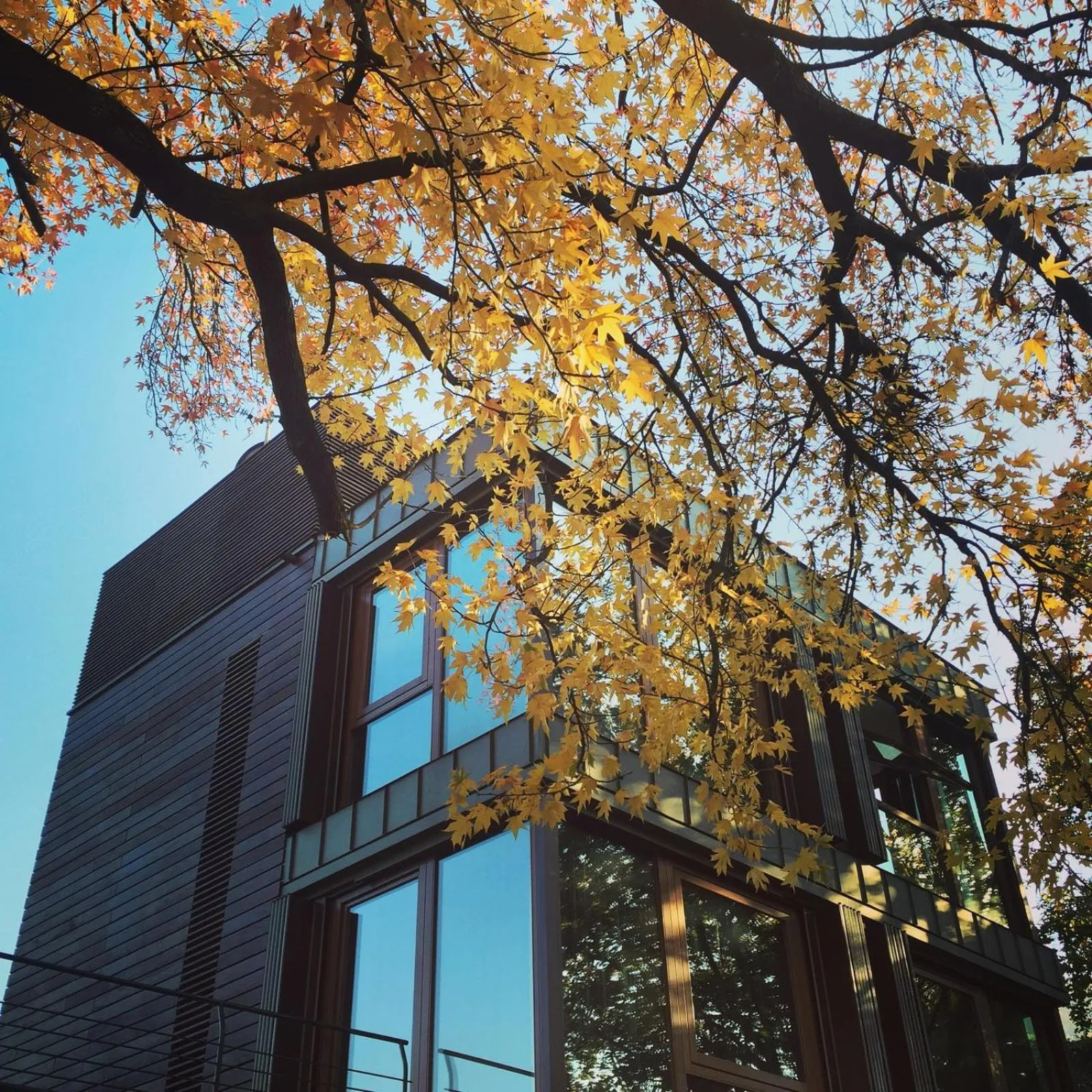 Day in Casa Sull'Albero