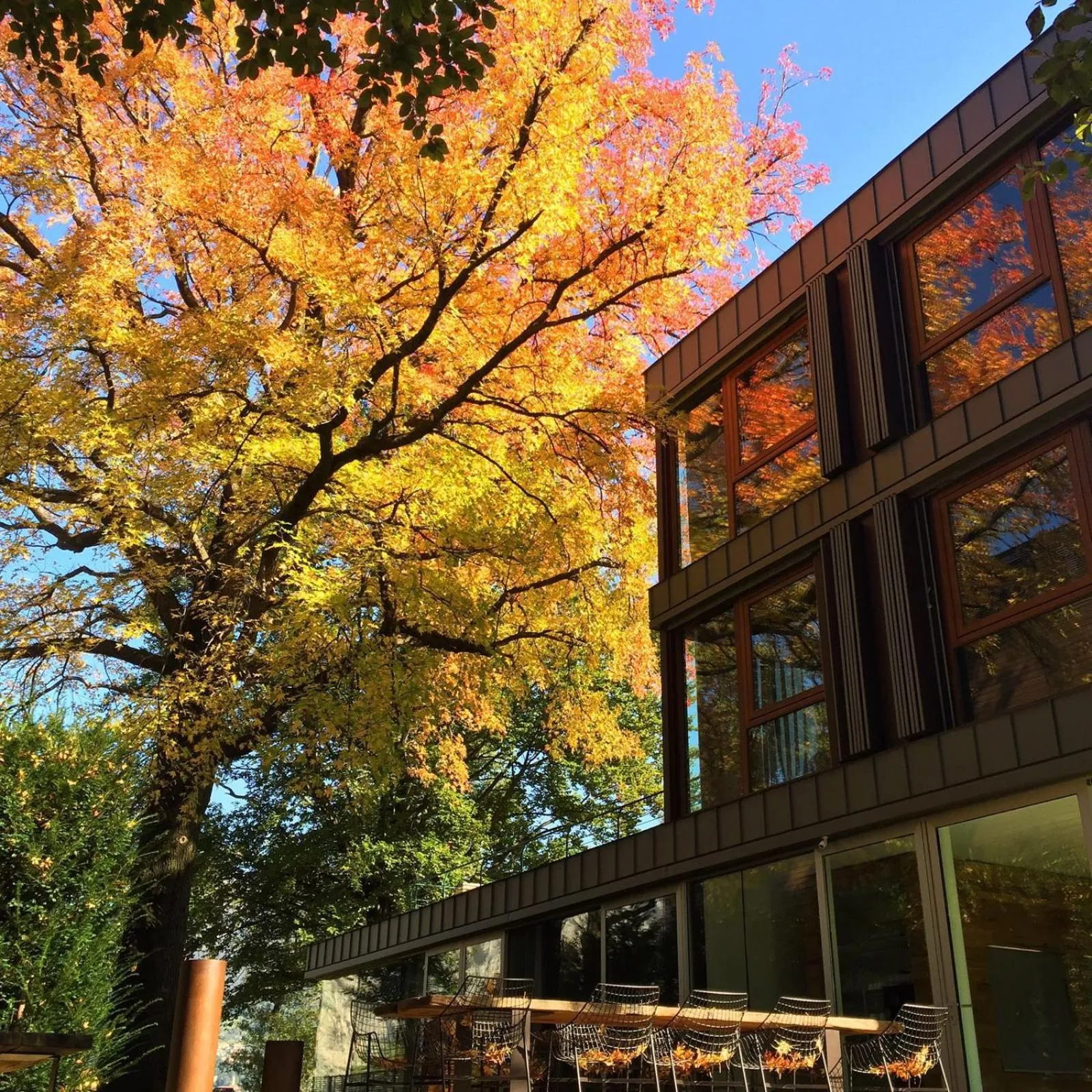 Property building in Casa Sull'Albero