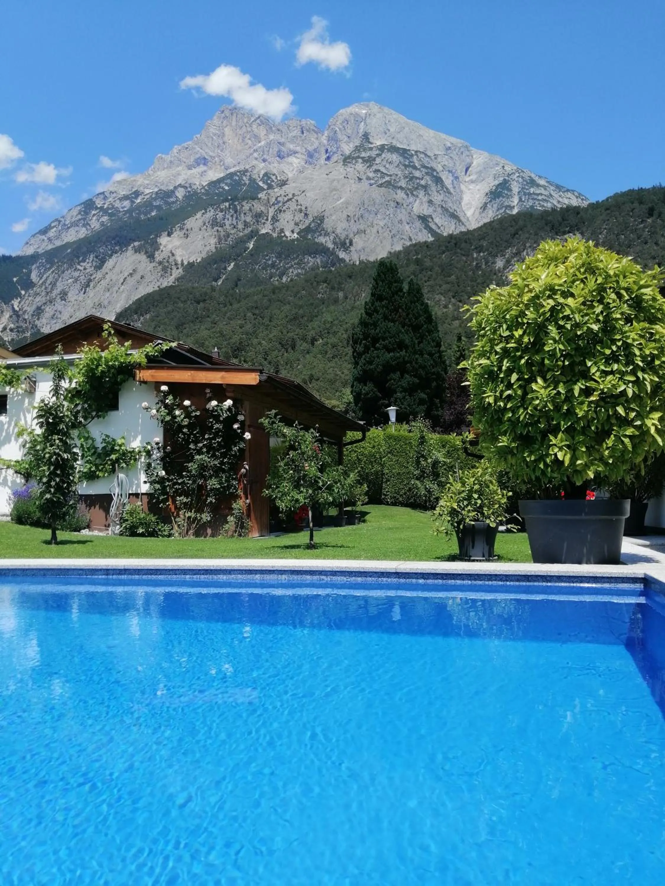 Swimming pool in Haus Thomas