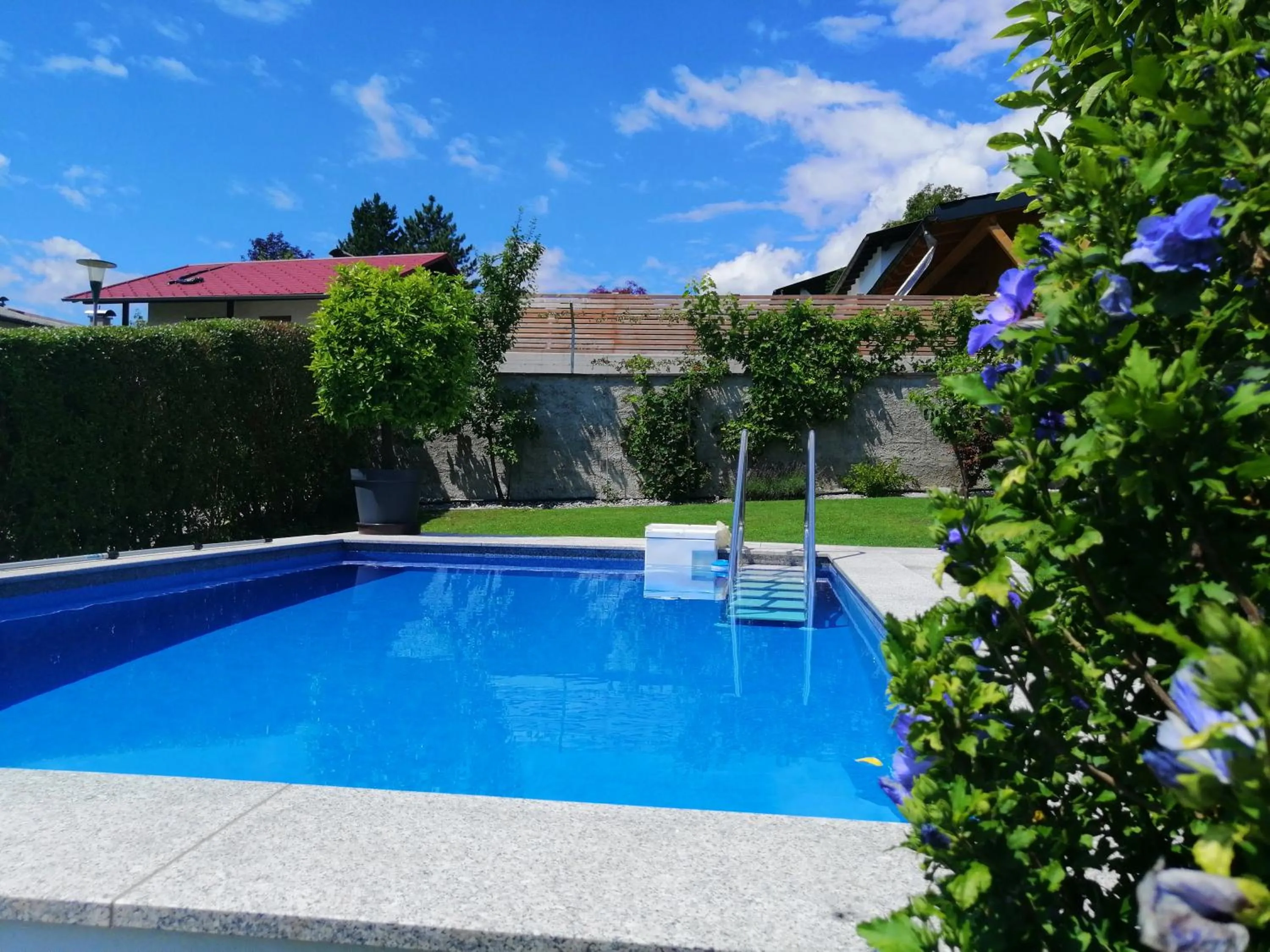 Swimming pool in Haus Thomas