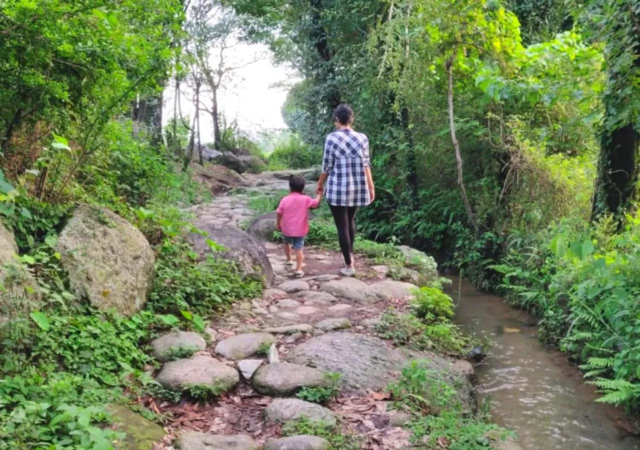 View (from property/room) in Dev Bhoomi Farms & Cottages