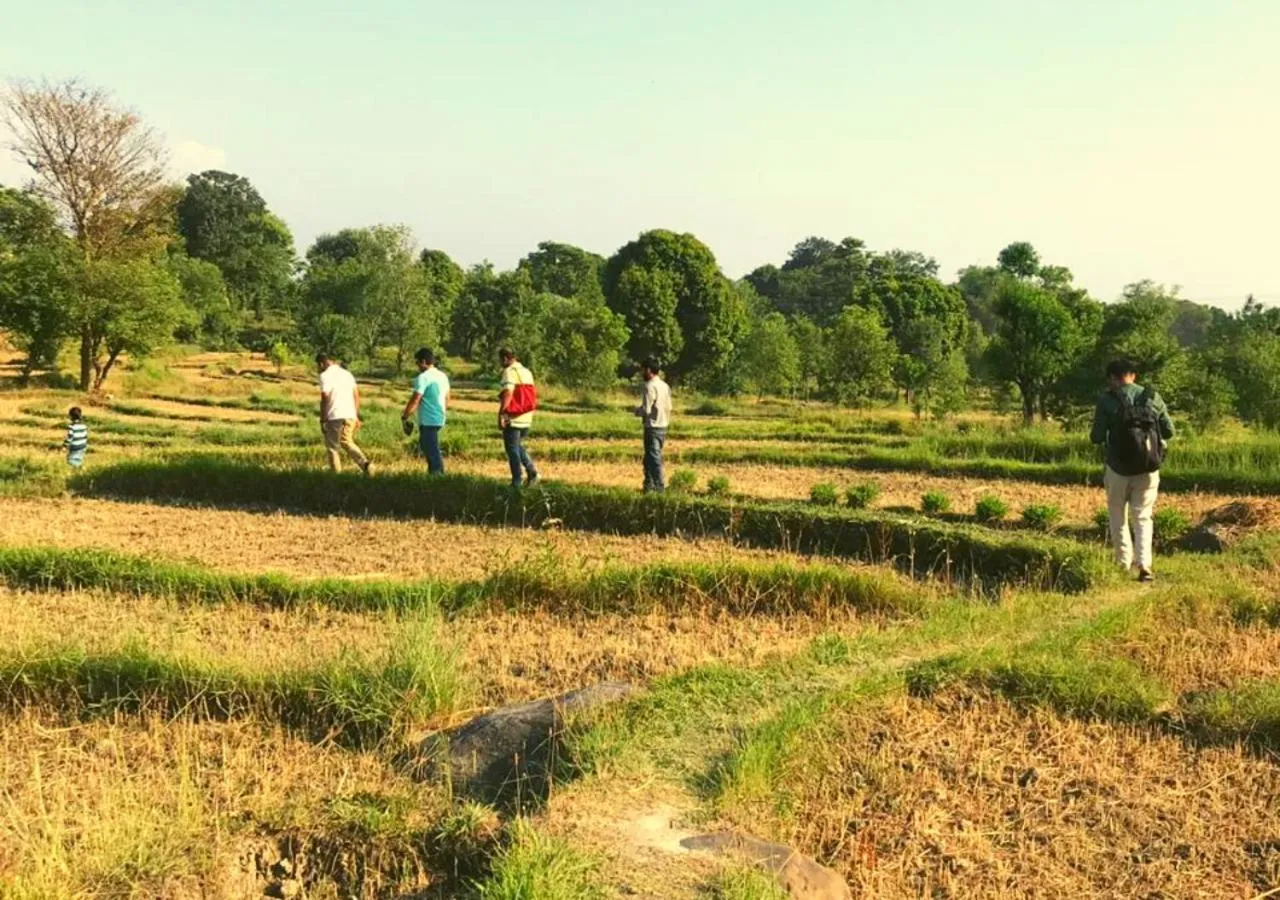 View (from property/room) in Dev Bhoomi Farms & Cottages