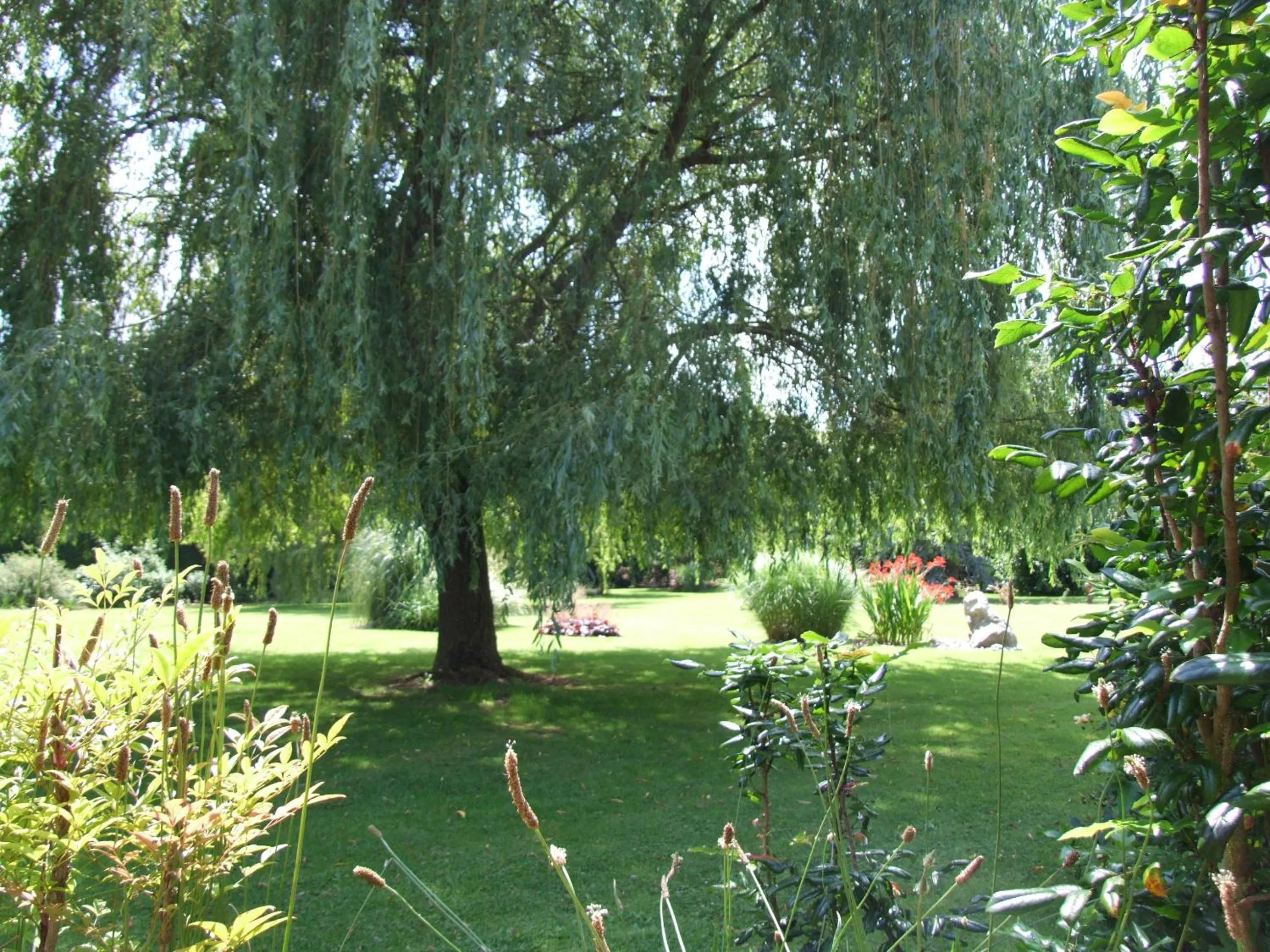 Garden in Le Clos du Clocher