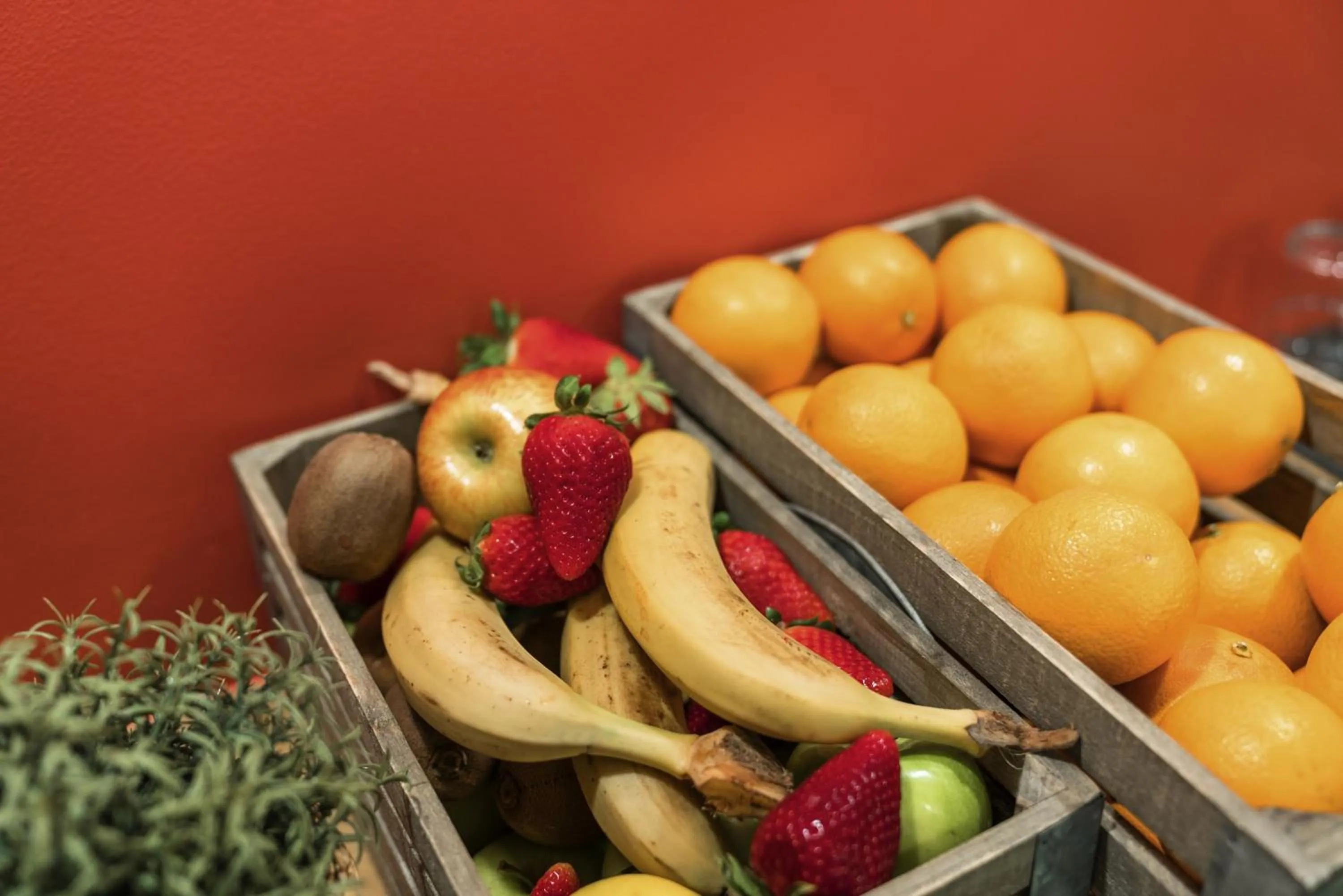 Food and drinks in ibis Styles Lille Centre Grand Place