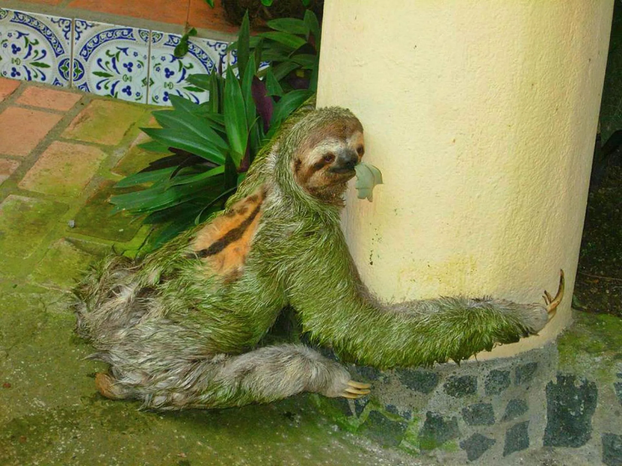 Other in Hotel Tres Banderas