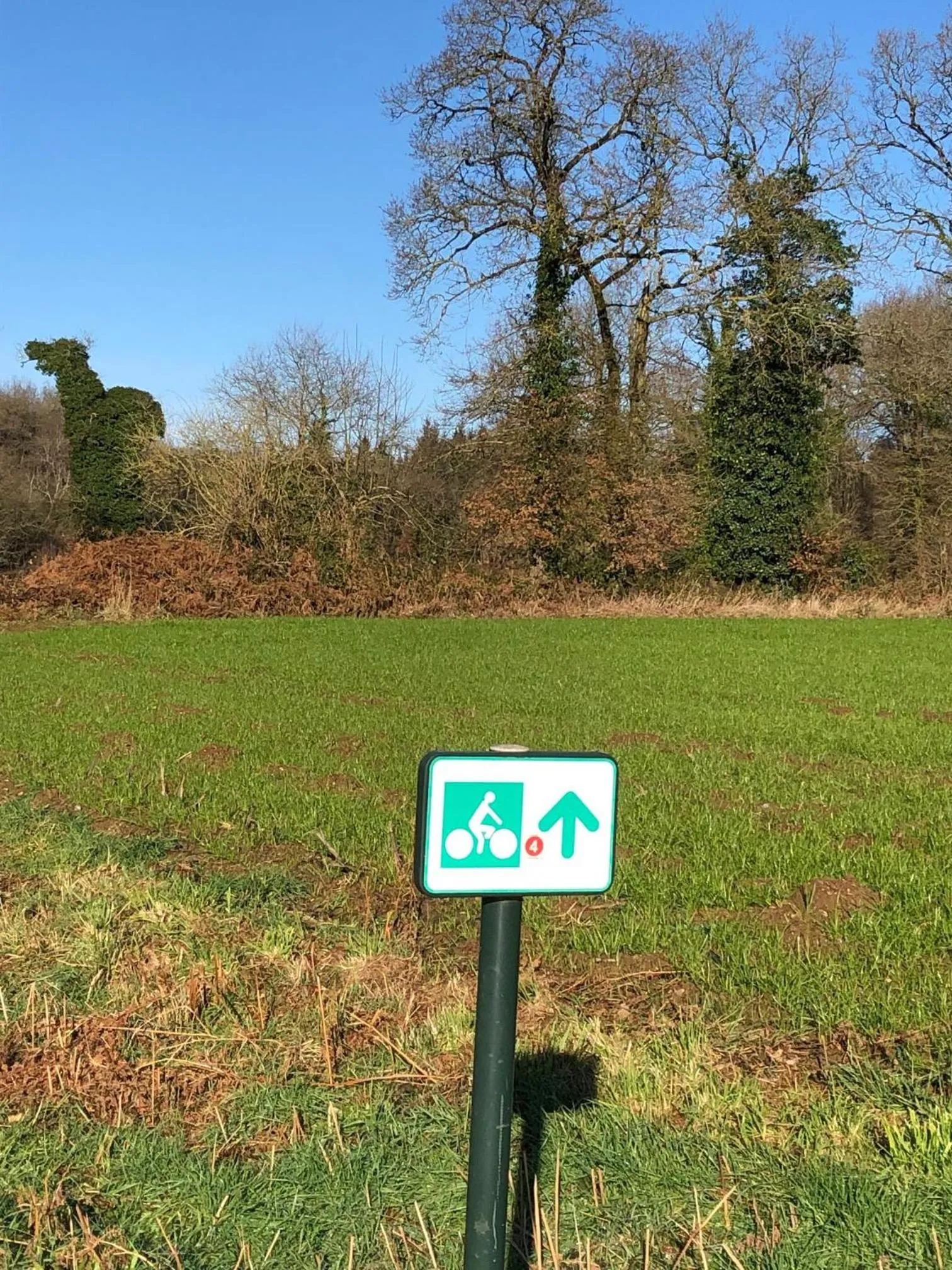 Activities in La Closerie de Sens