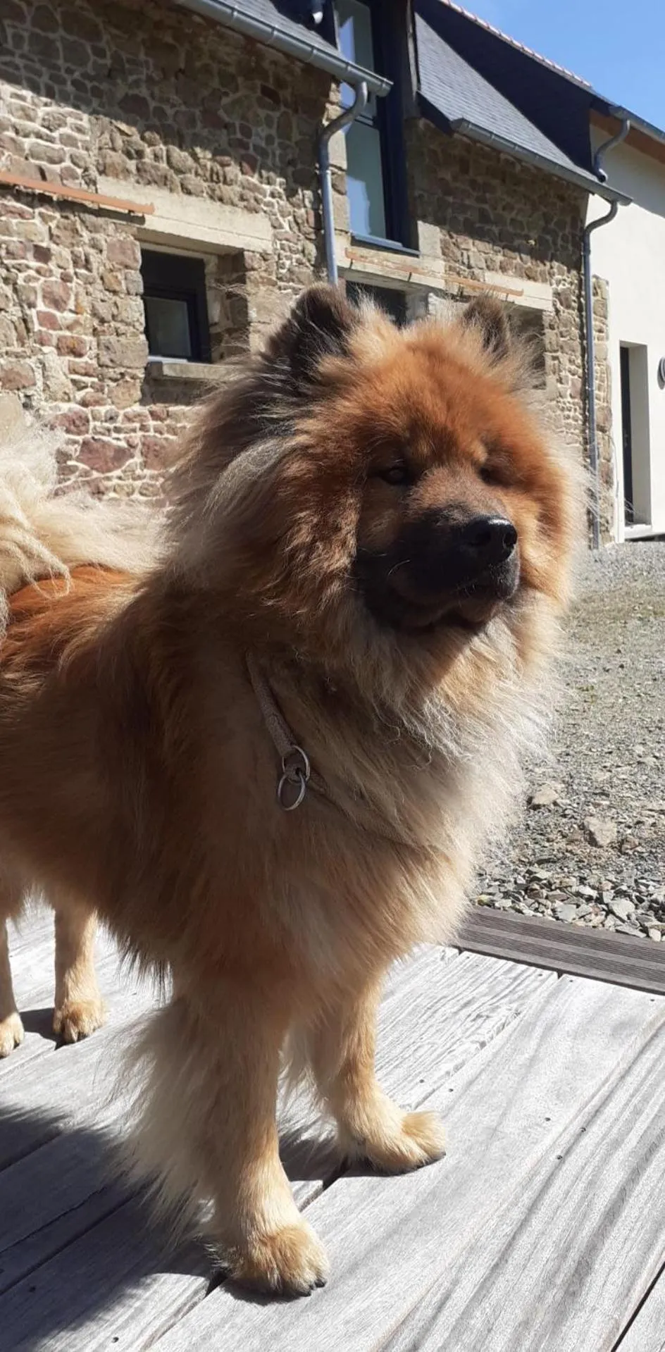 View (from property/room) in La Closerie de Sens